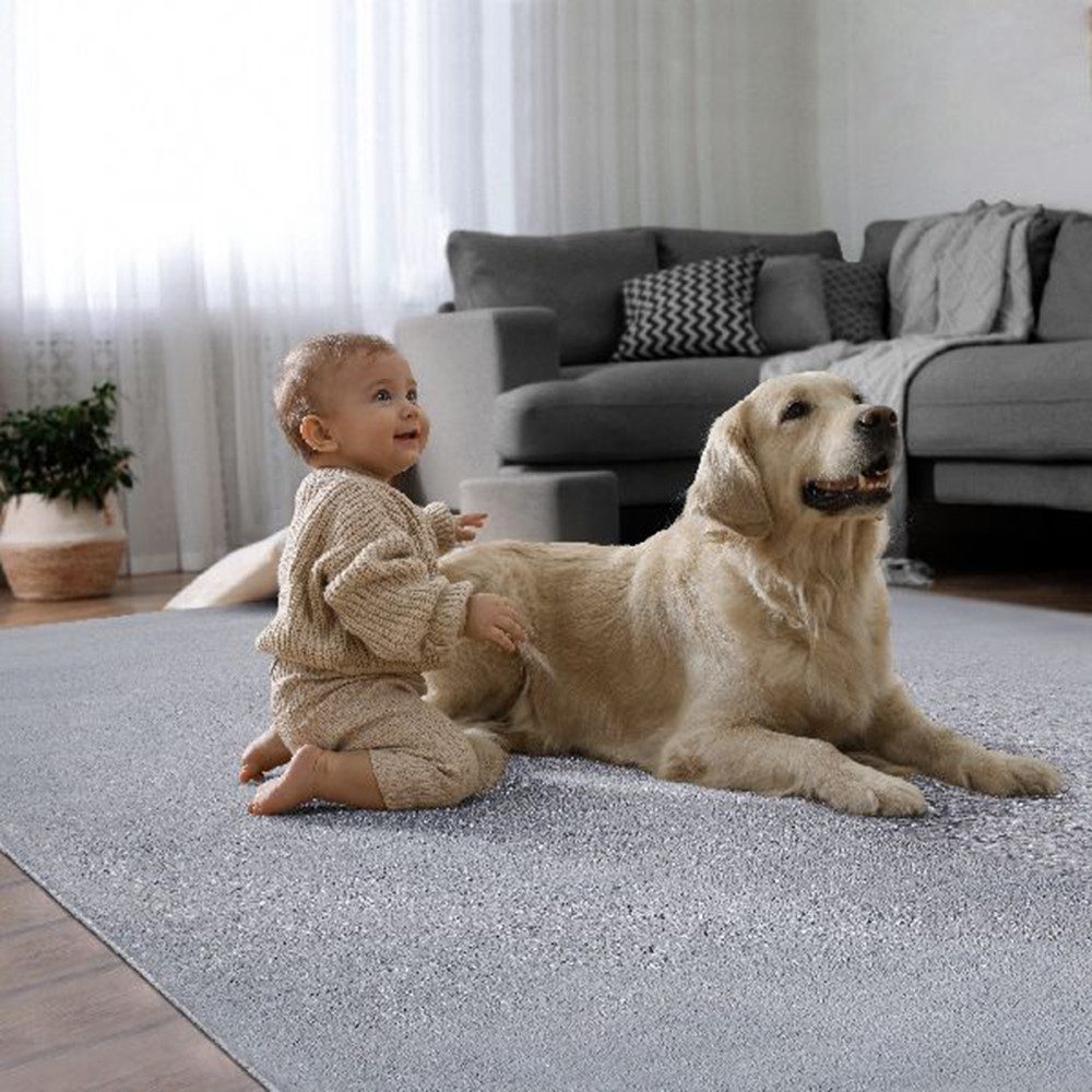 The carpet Vloerkleed Cosy Woonkamer tapijt bont-uitstraling wasbaar elegant