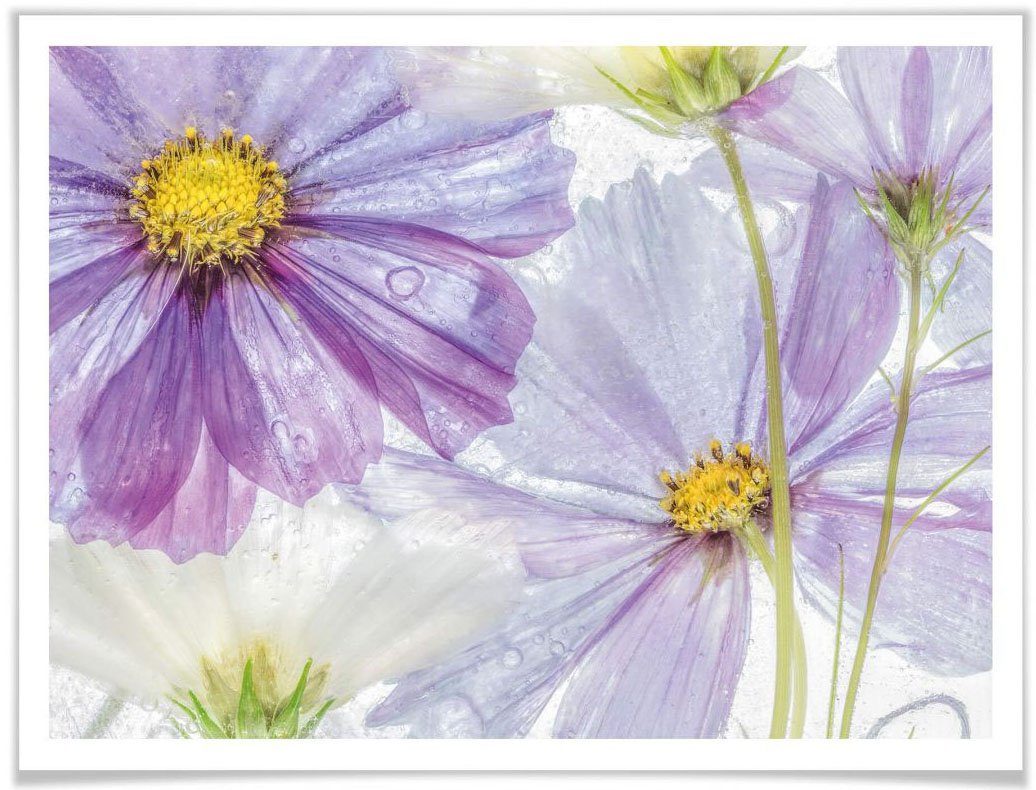 wall-art poster gebloemde paars blauw bloemen kunst (1 stuk) multicolor
