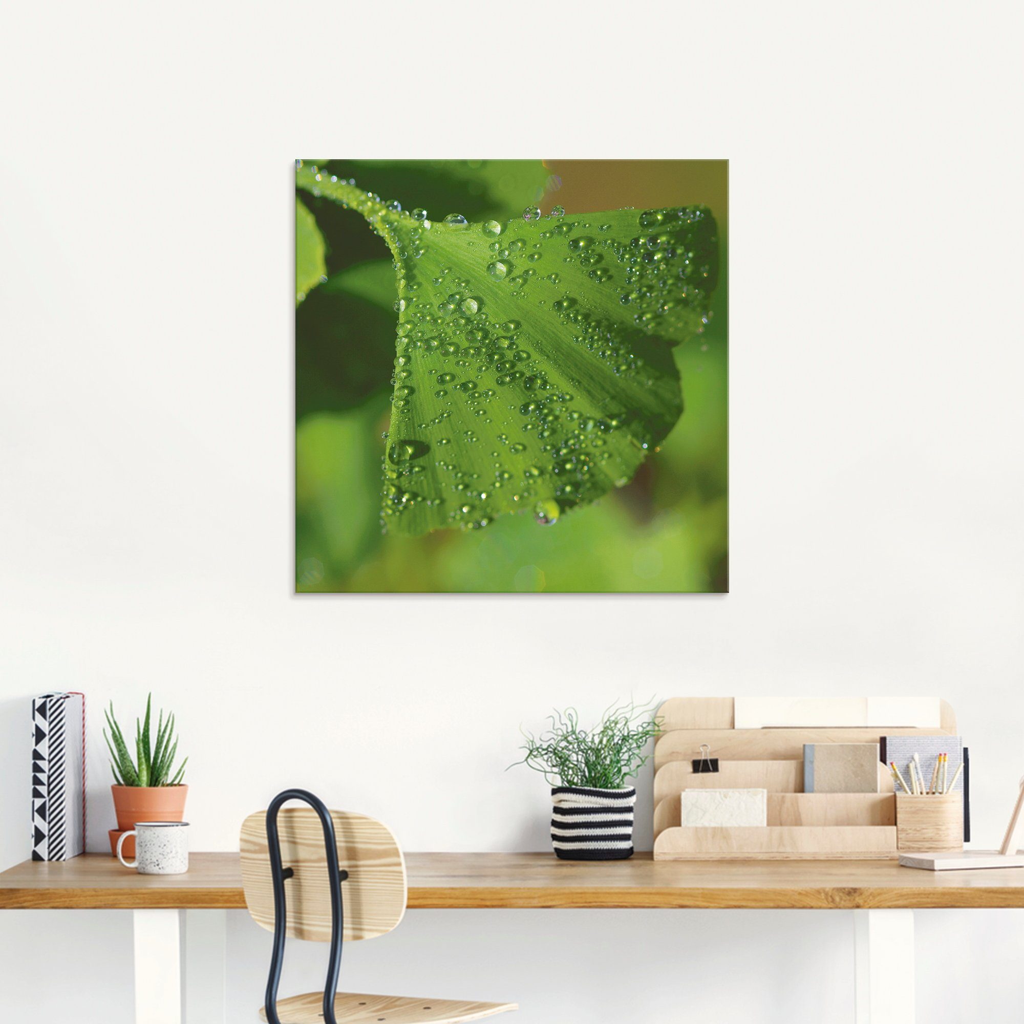 Artland Print op glas Ginkgo in verschillende maten