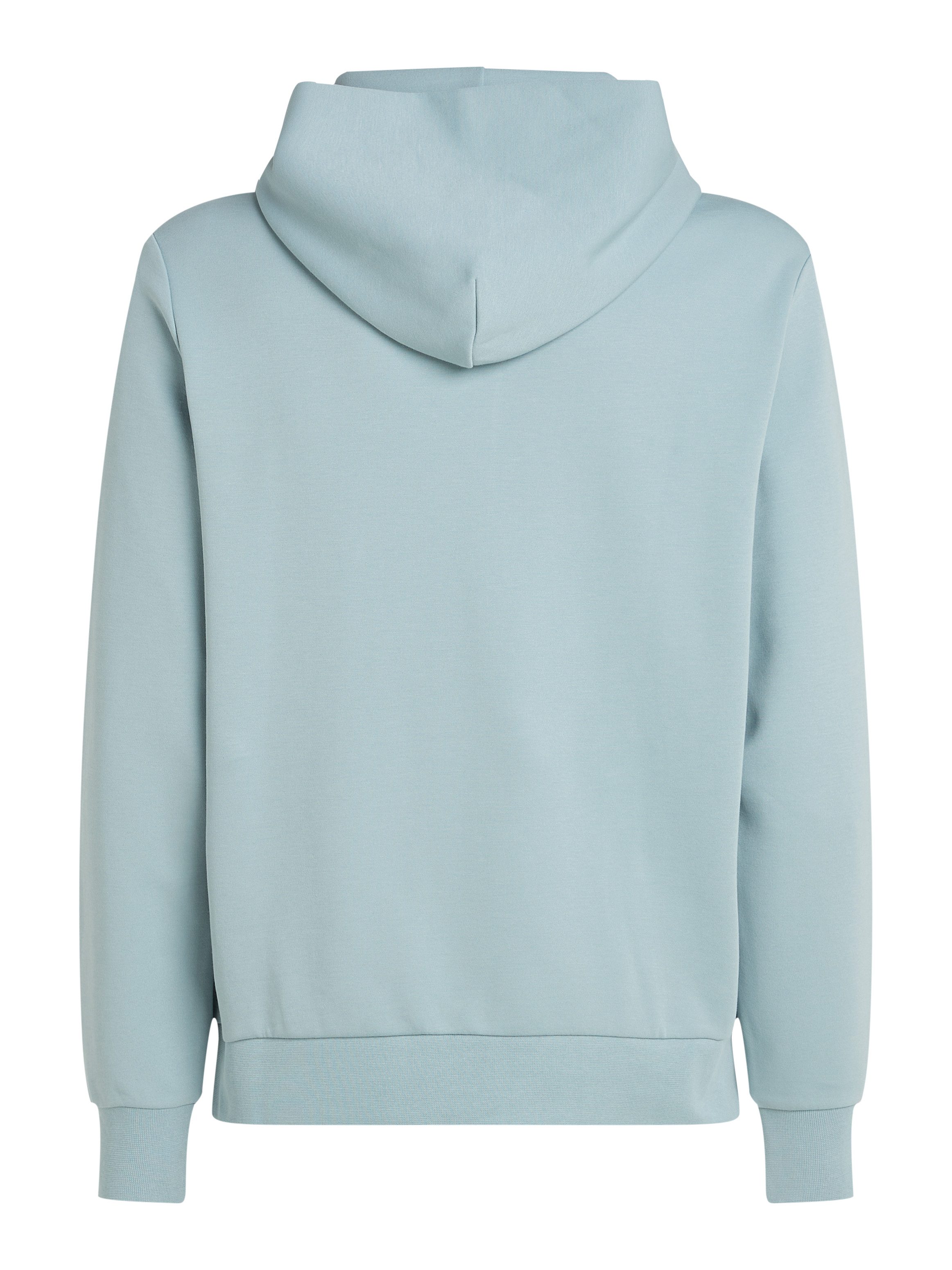 Calvin Klein Hoodie Sweatshirt MICRO LOGO RE