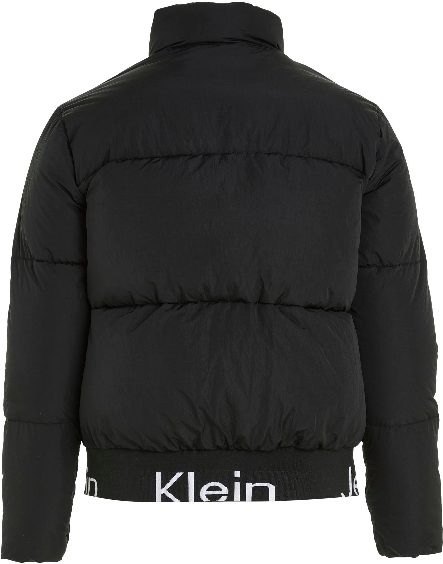 Calvin Klein Jeans Plus Gewatteerde jas PLUS LOGO HEM SHORT PUFFER met elastische calvin klein jeans band