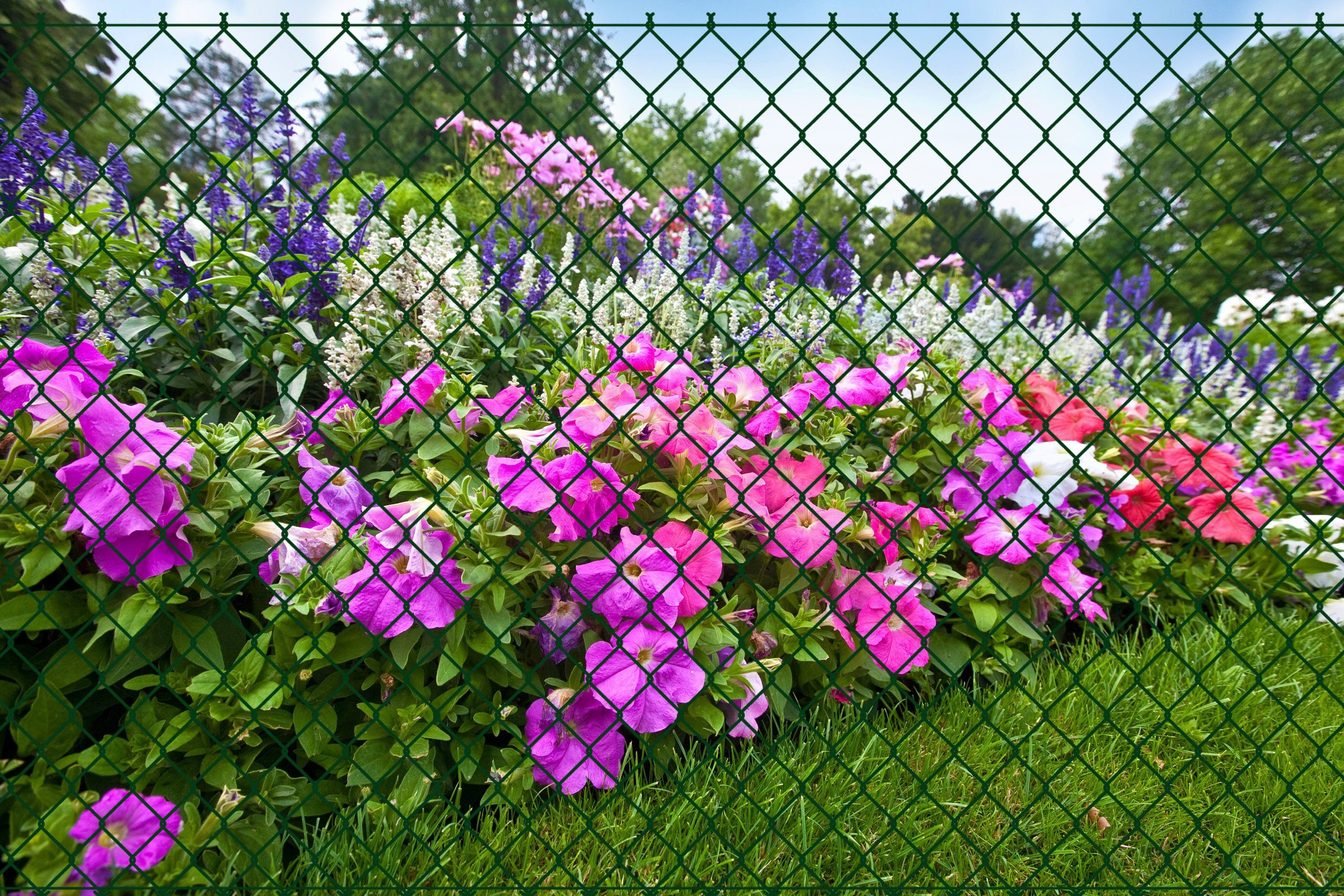 GARDEN 'N' MORE Draadgaasafrastering (set)