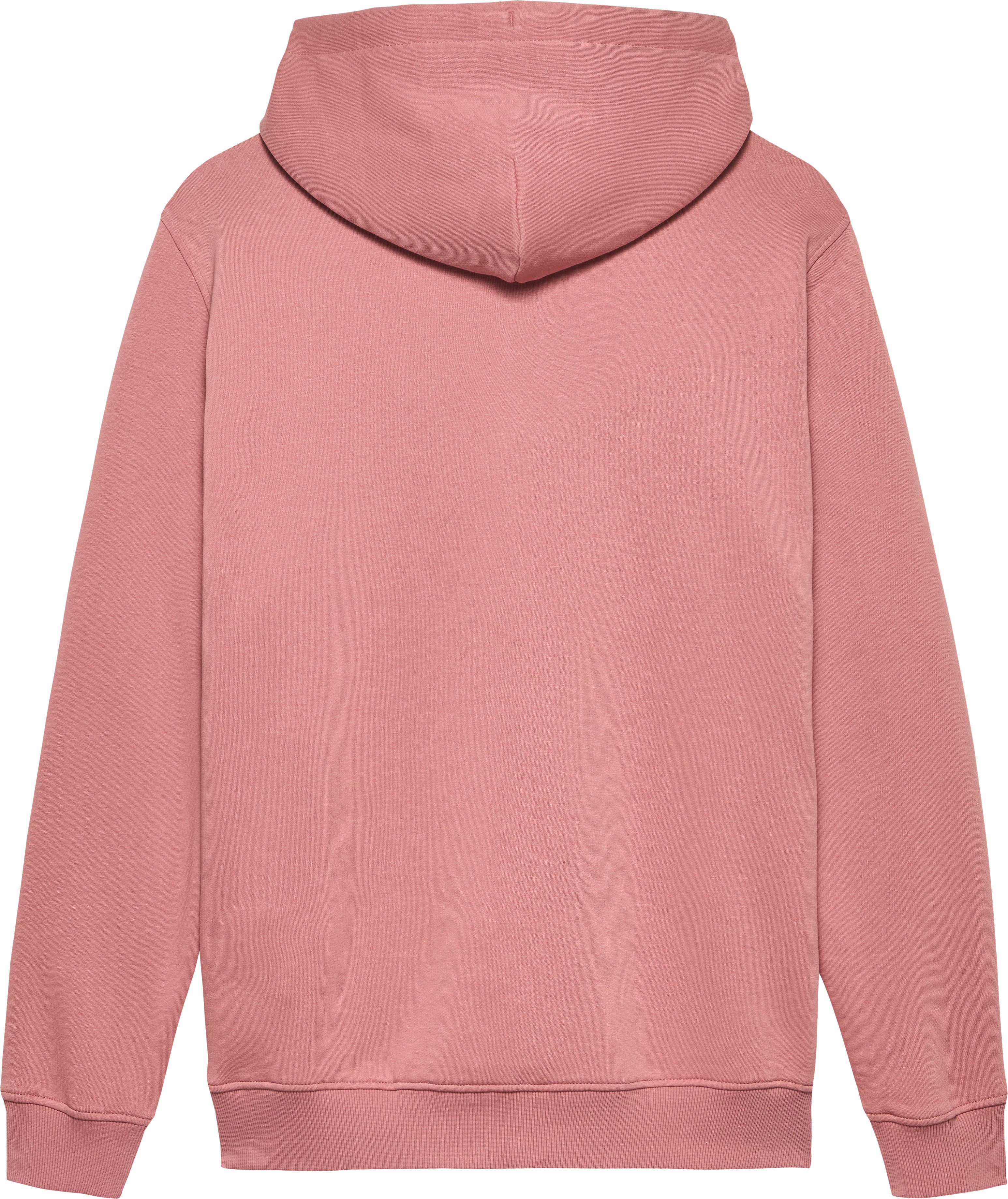 TOMMY JEANS Hoodie TJM REG LINEAR LOGO HOODIE EXT