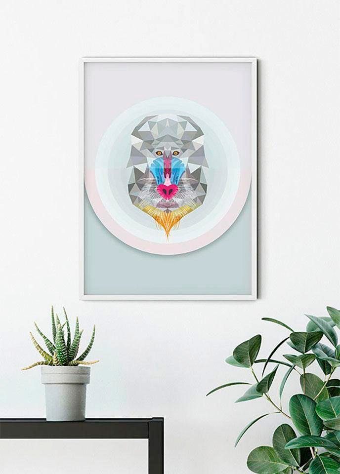 Komar Wanddecoratie Baboon Wanddecoratie - zonder lijst (1 stuk)