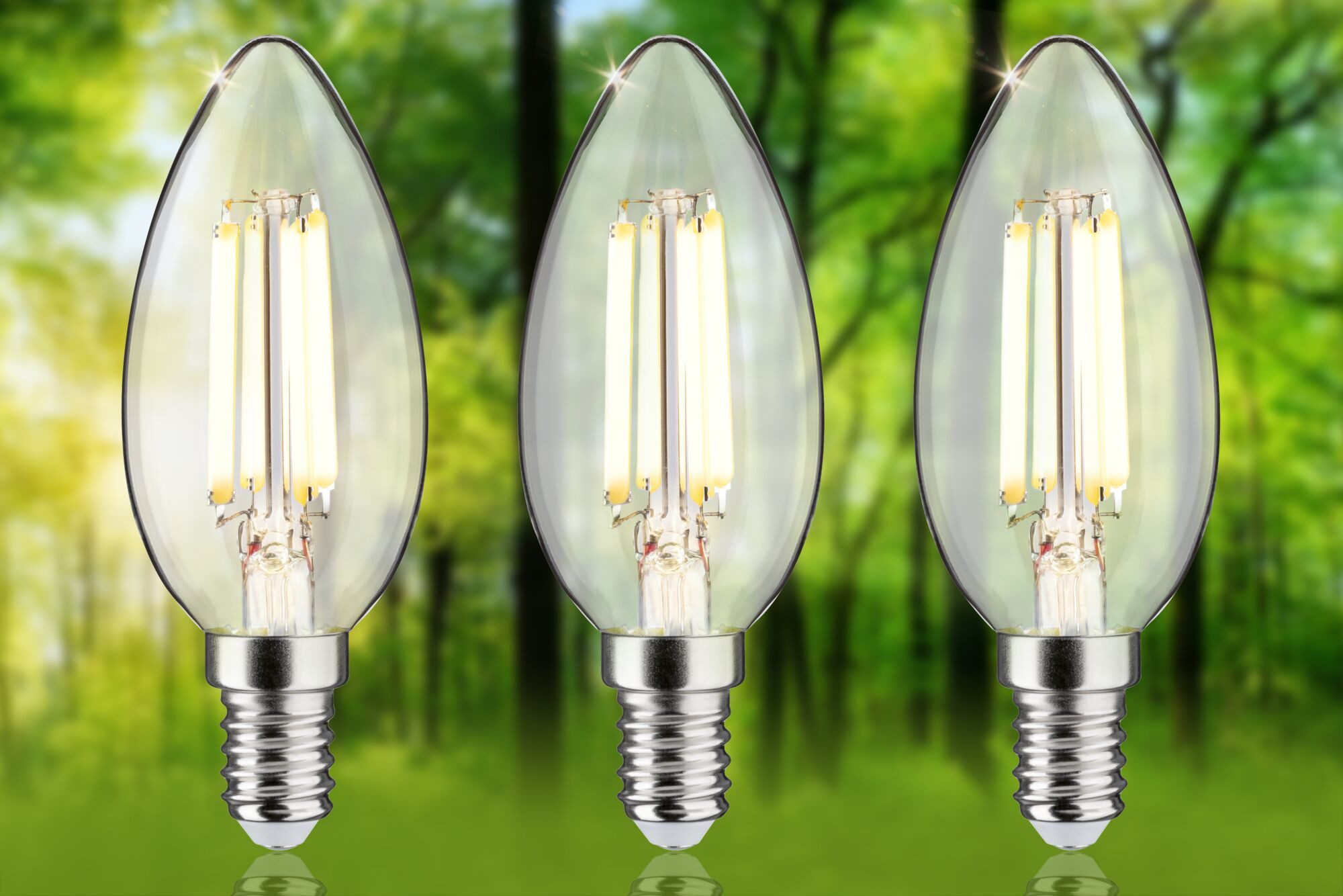 Paulmann Led-verlichting Eco-Line filament 230V LED kaars E14 3-pack 525lm 2,5W 3000K helder (3 stuks)