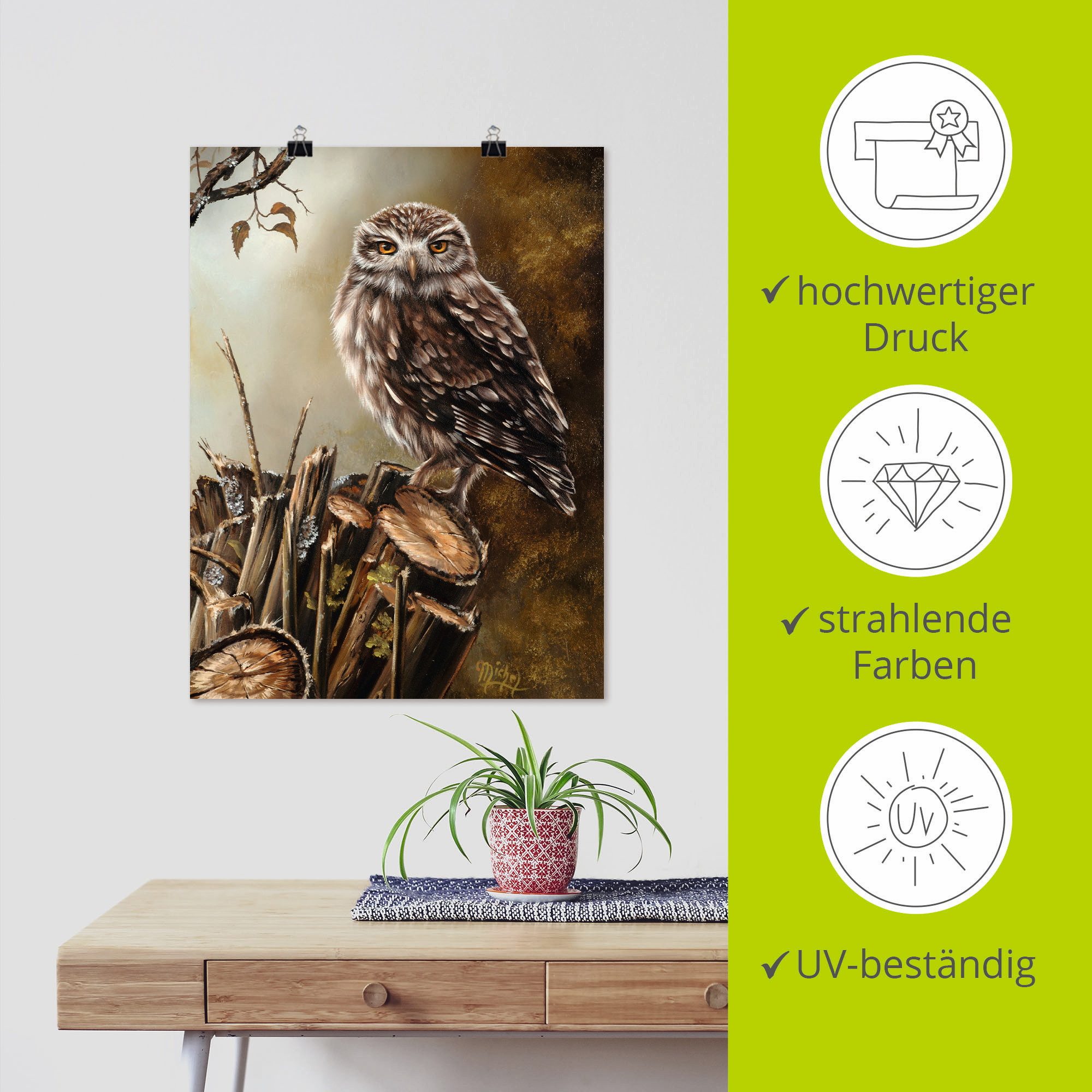 Artland Artprint Uil als artprint op linnen, poster in verschillende formaten maten
