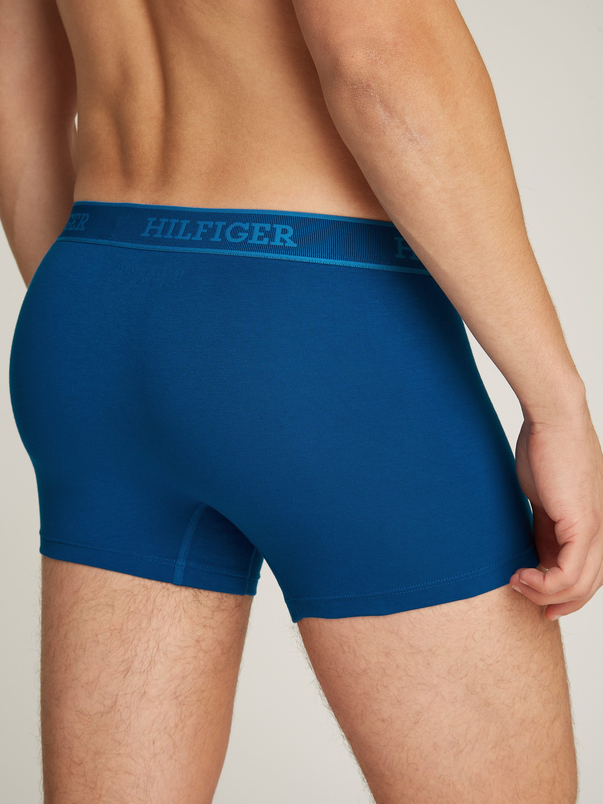 Tommy Hilfiger Underwear Trunk 3P TRUNK (Set van 3)