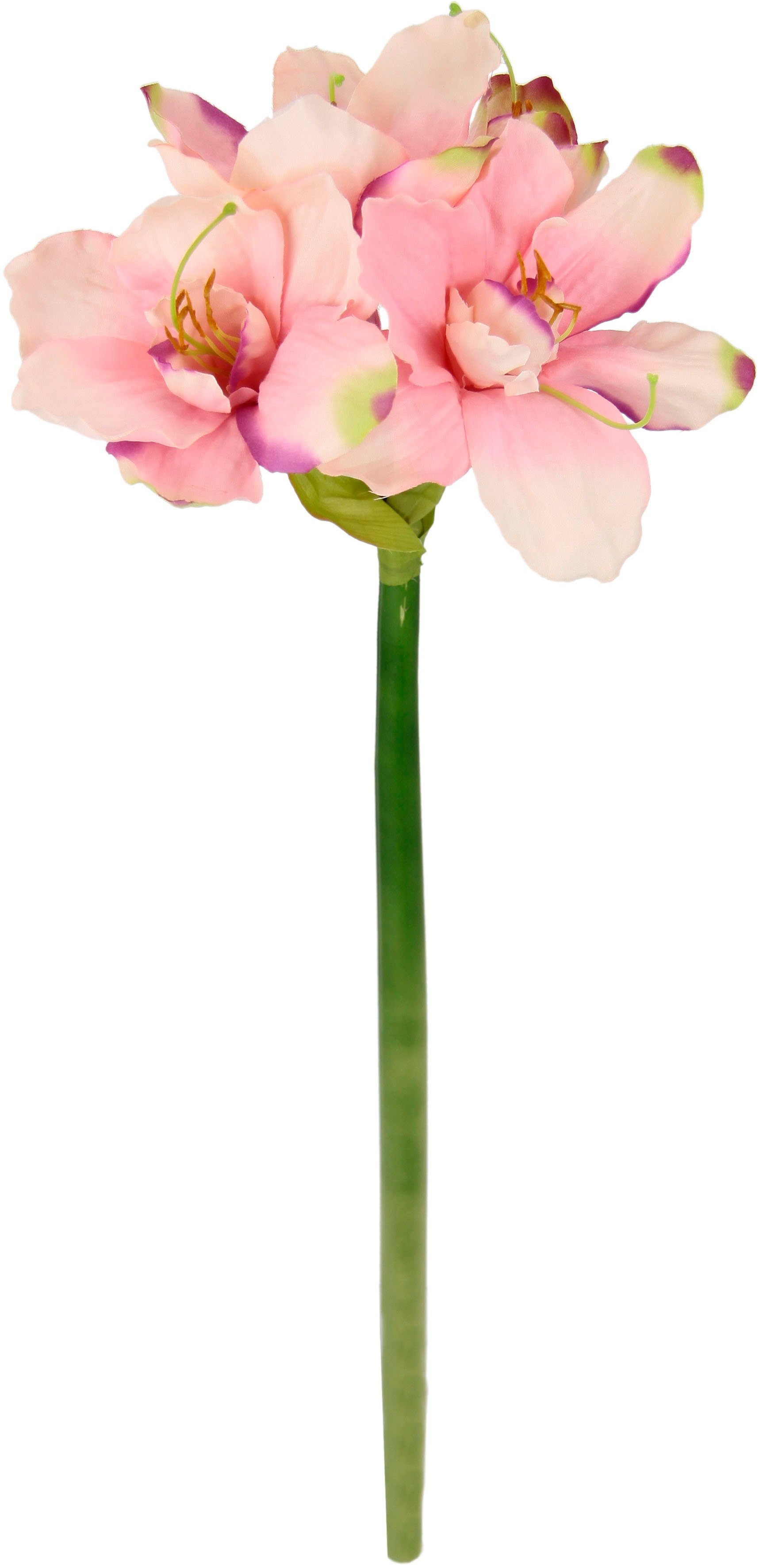 I.GE.A. Kunstbloem Amaryllis Kunst-stielbloem, 3-delige set (3 stuks)