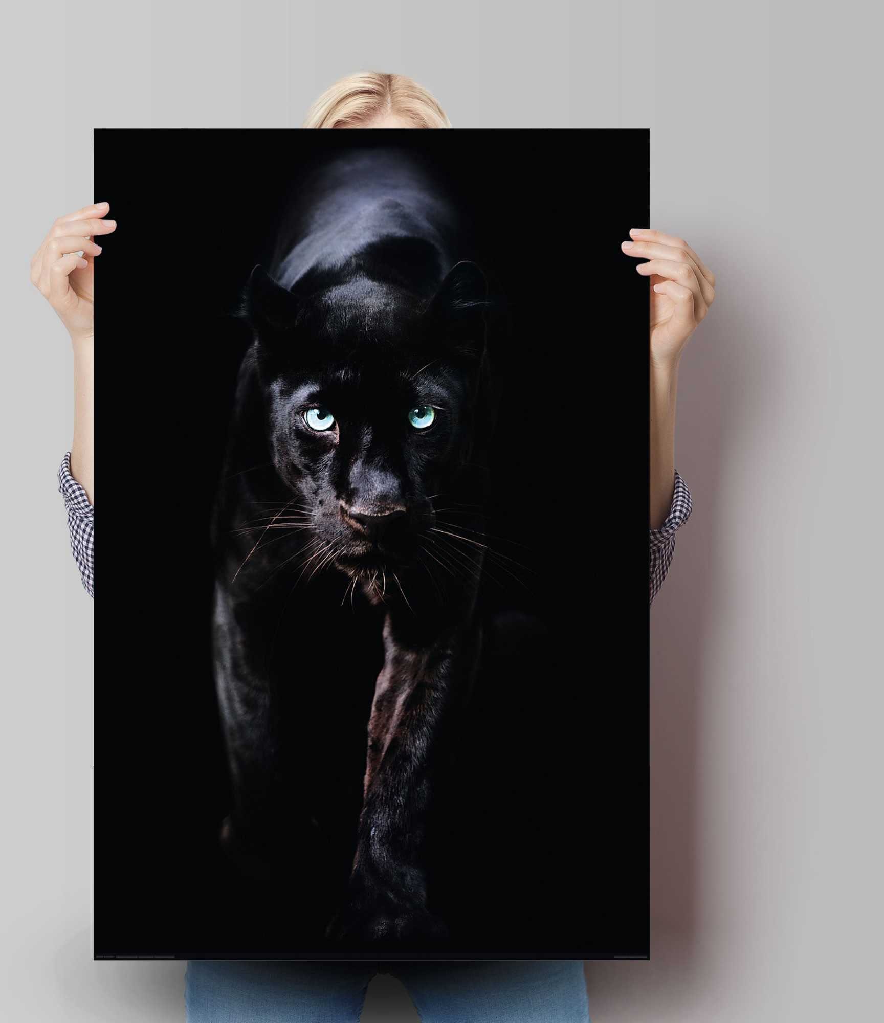 Reinders! Poster zwarte panter