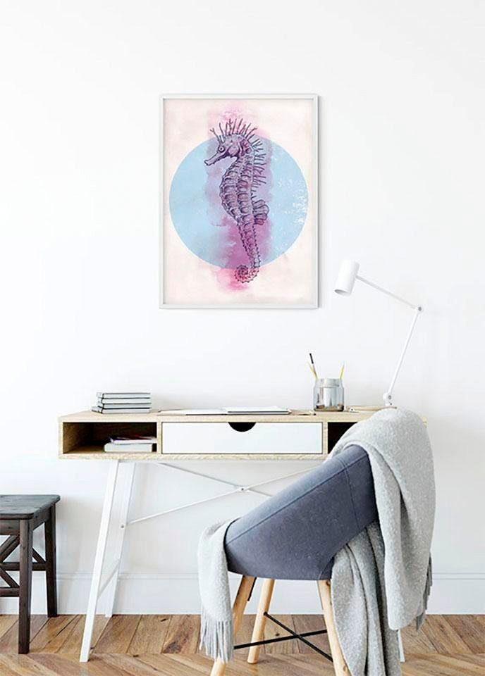 Komar Wanddecoratie Sea Horse Circle Wanddecoratie - zonder lijst (1 stuk)