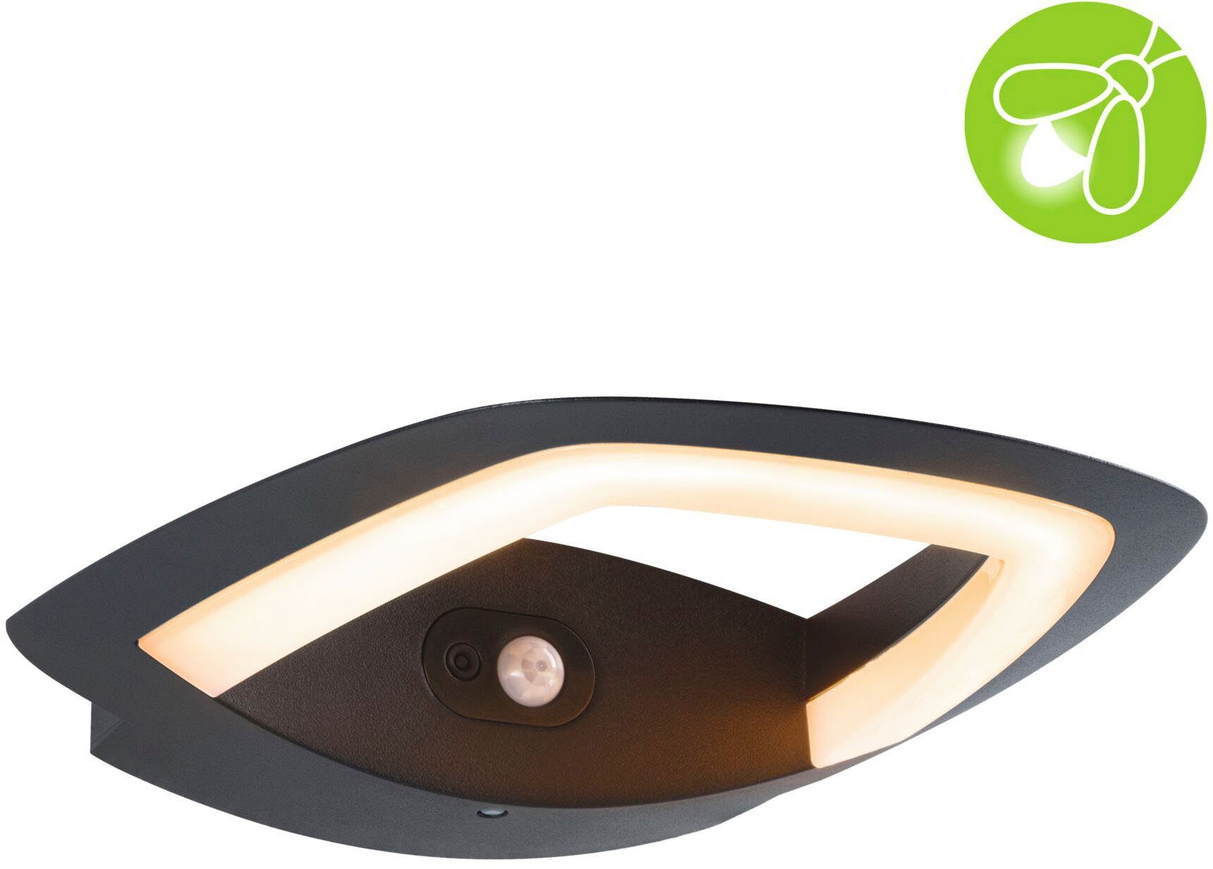 Paulmann Led-wandlamp voor buiten Buiten 230V Akena PIR Insect friendly Antraciet