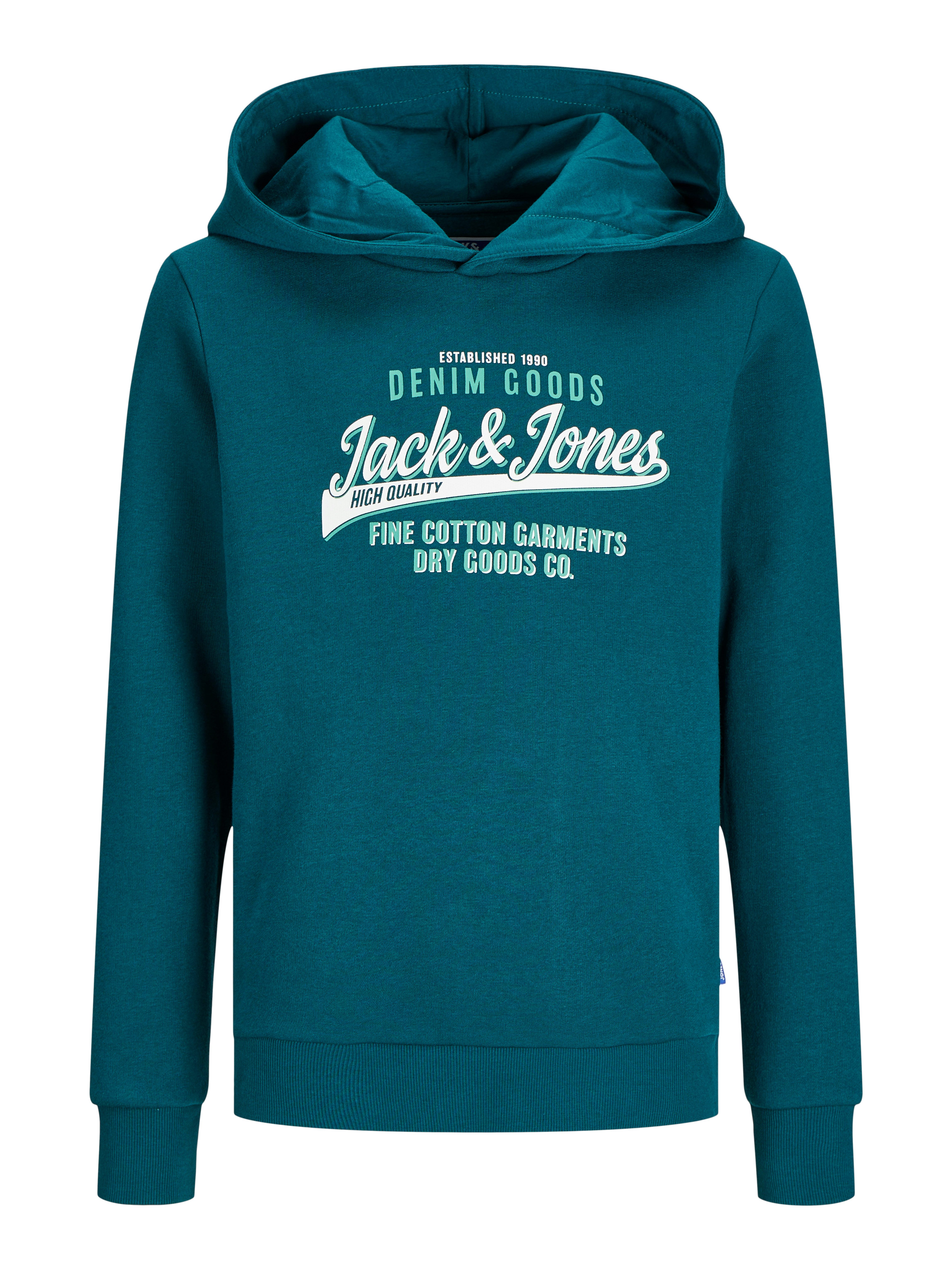 Jack & Jones Junior Hoodie JJELOGO SWEAT HOOD 2 COL 24 25 NOOS JNR