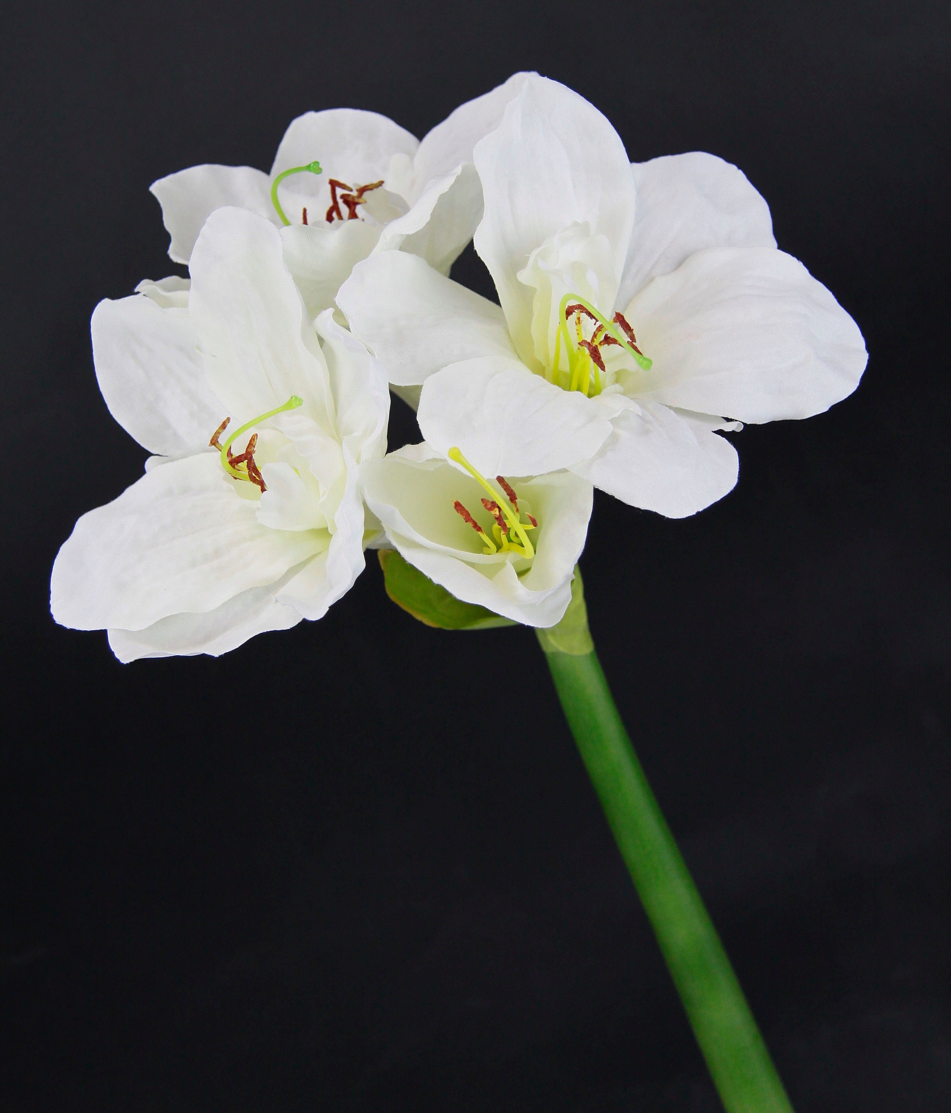 I.GE.A. Kunstbloem Amaryllis Kunst-stielbloem, 3-delige set (3 stuks)