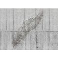 komar fotobehang concrete feather grijs