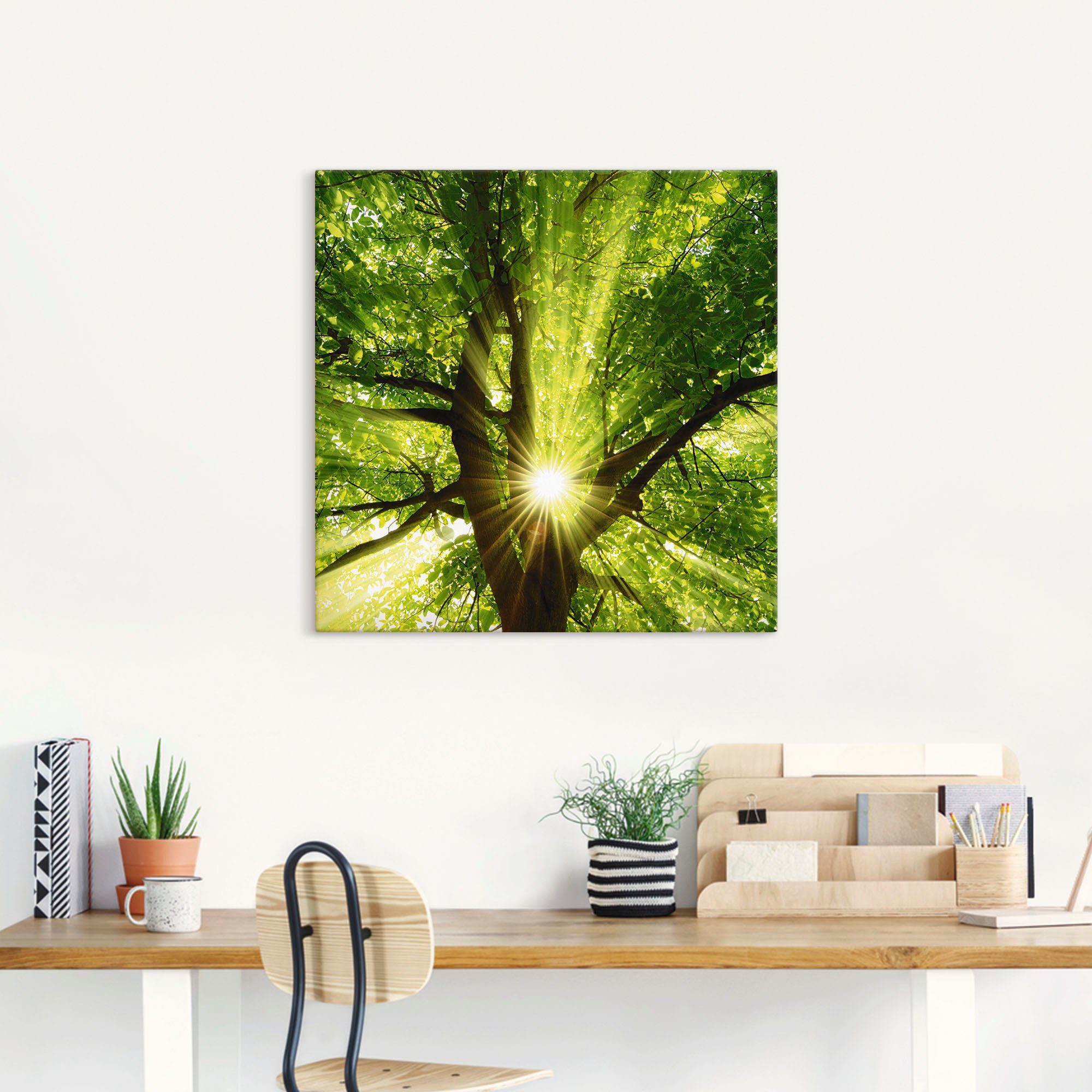 Artland Artprint Zon straalt explosief door de boom als artprint op linnen, poster, muursticker in verschillende maten