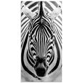 artland print op glas zebra (1 stuk) zwart