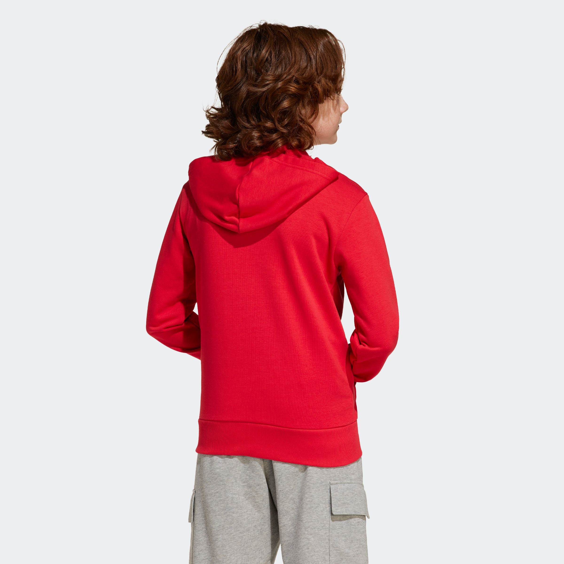 adidas Sportswear Hoodie J BL FT HD 280