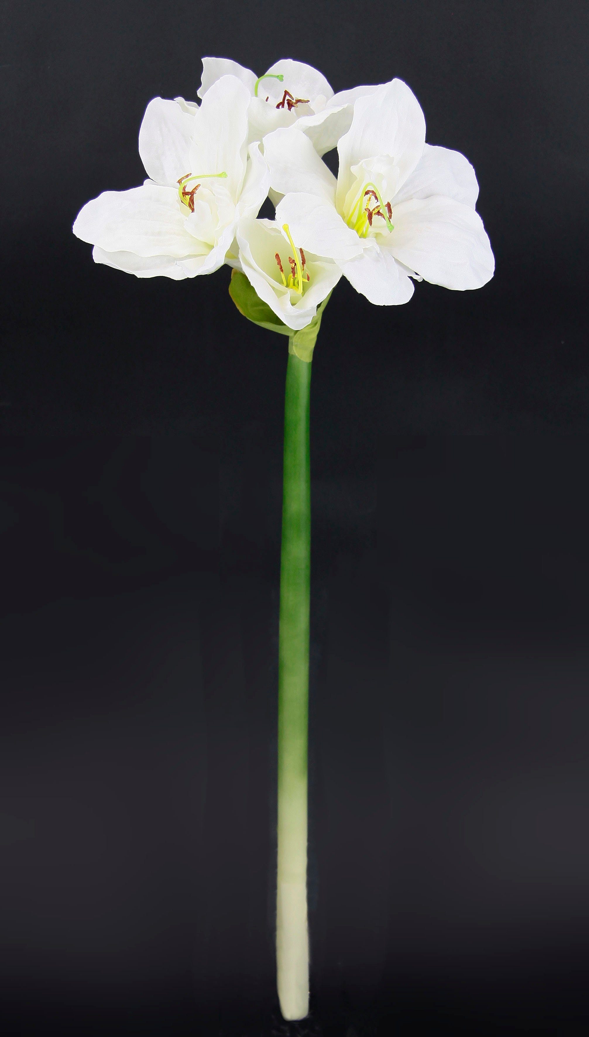 I.GE.A. Kunstbloem Amaryllis Kunst-stielbloem, 3-delige set (3 stuks)