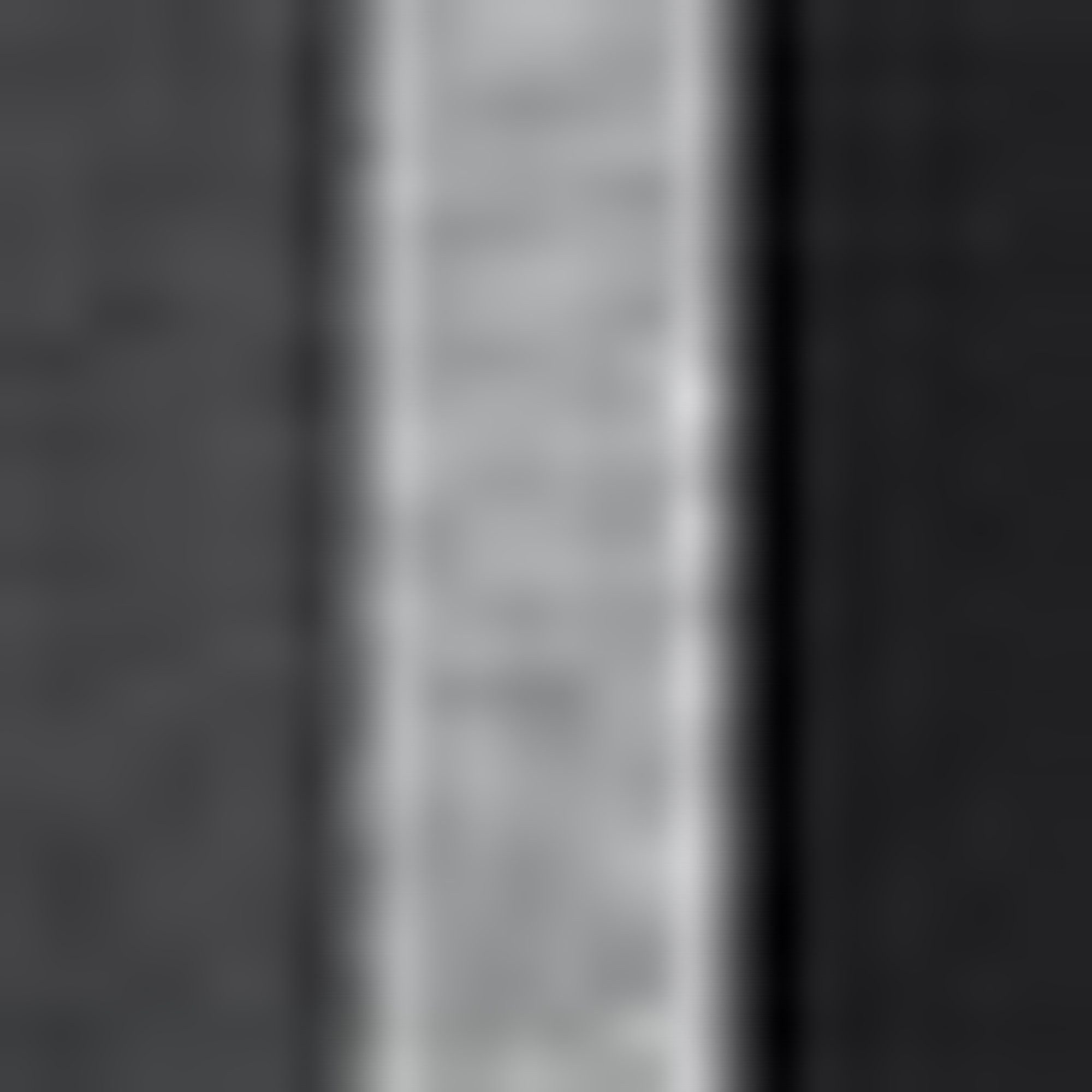 BOSS Slip weefband met logo (3 stuks)