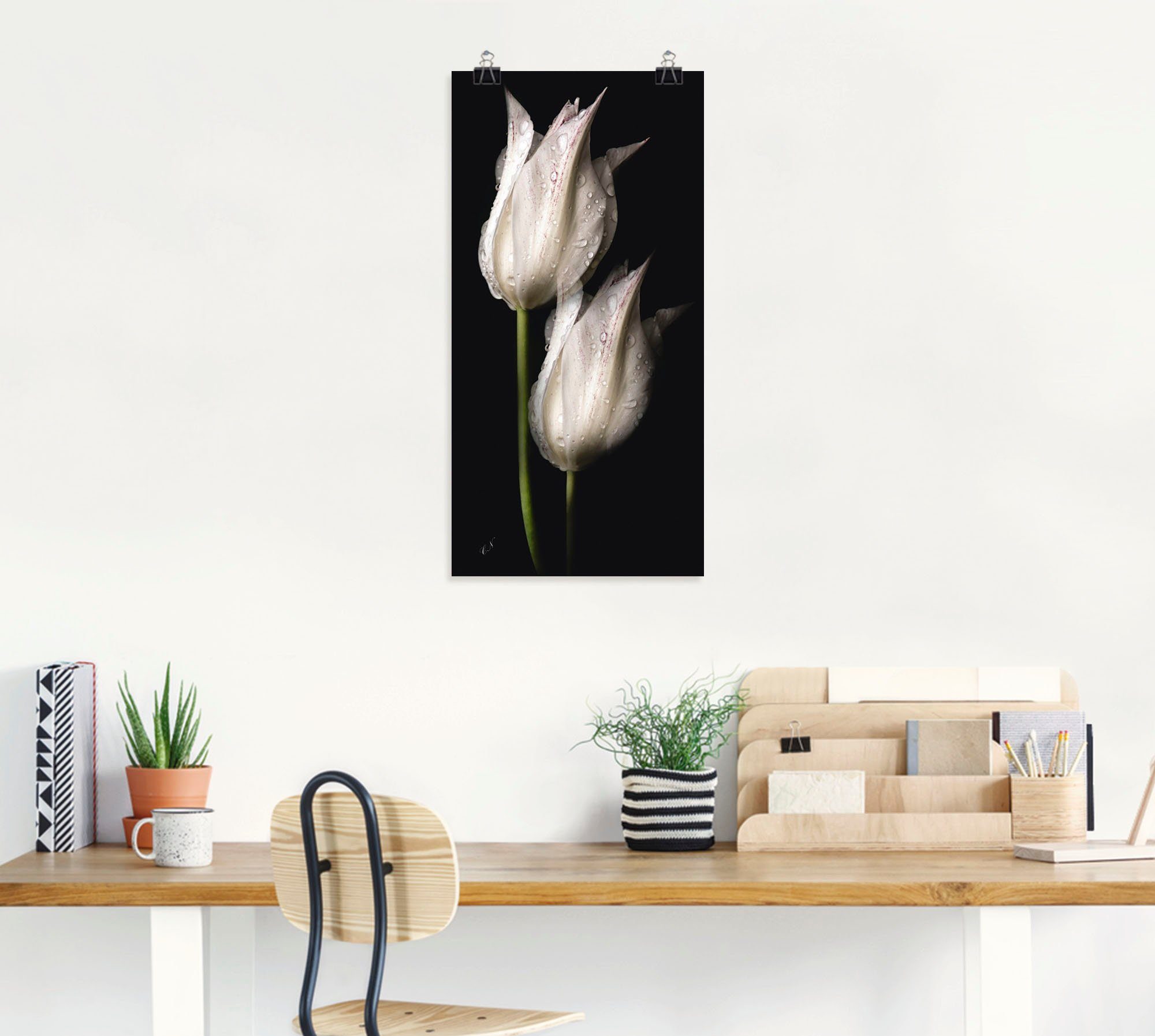 Artland Artprint Witte tulpen in de nacht als artprint van aluminium, artprint voor buiten, artprint op linnen, poster, muursticker