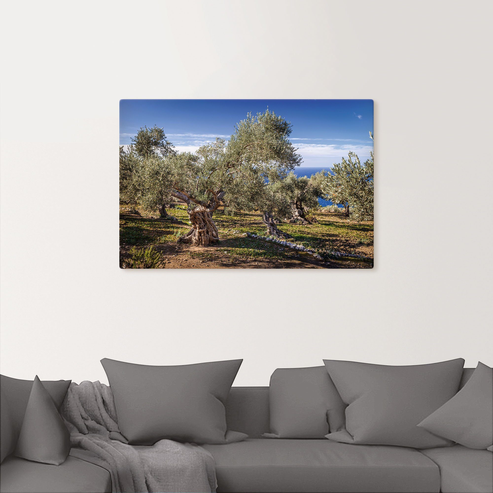Artland Artprint Olijfgaard in de Serra de Tramuntana als artprint van aluminium, artprint voor buiten, artprint op linnen, poster in verschillende maten. maten