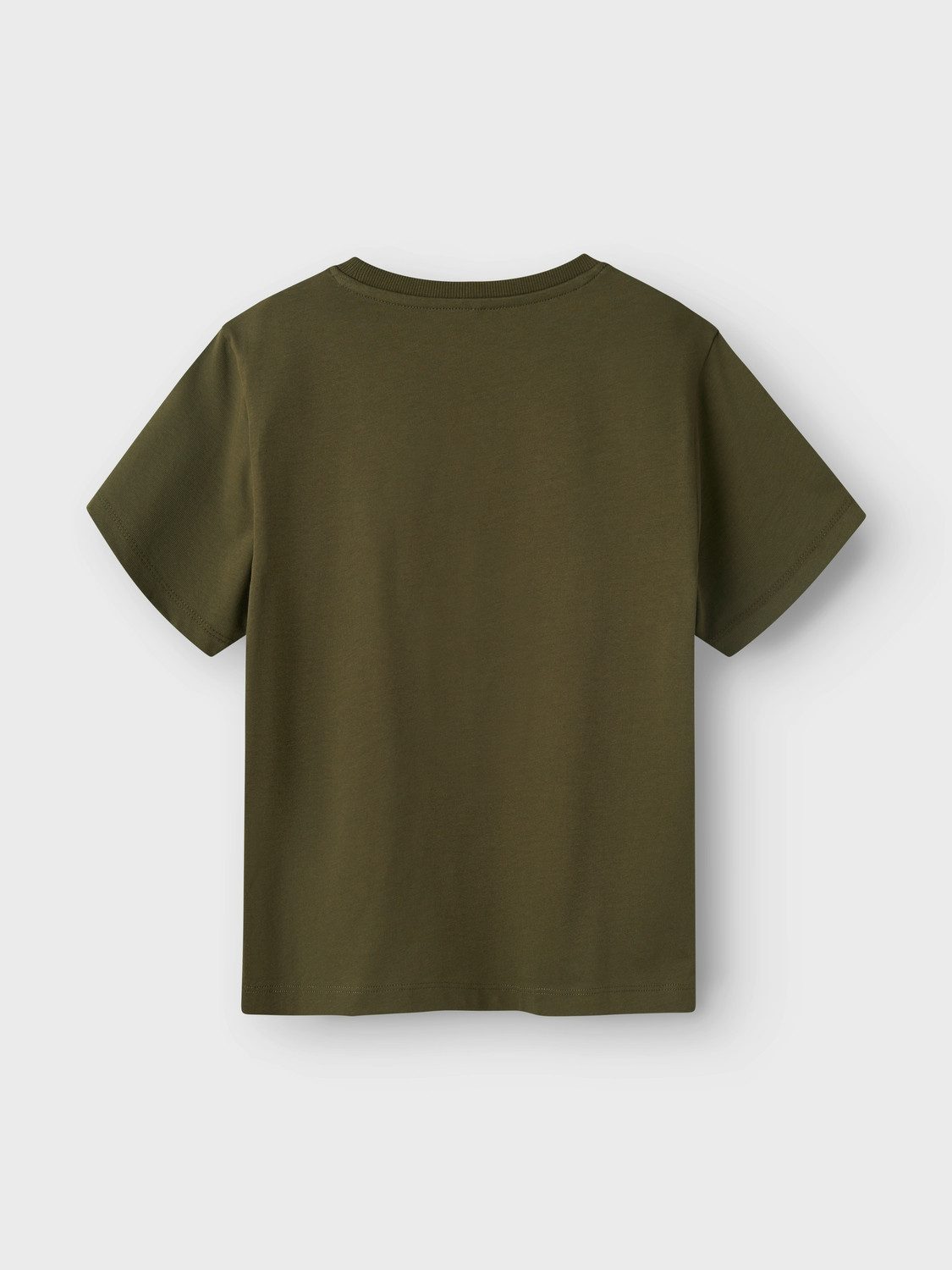 Name It T-shirt NKMGREG SS NREG TOP NOOS