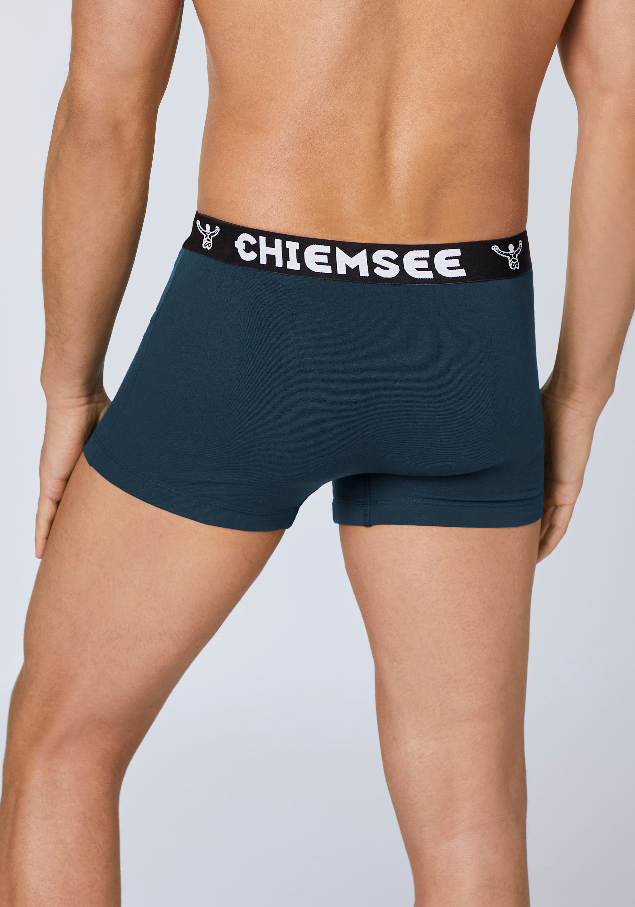 Chiemsee Retro boxershort