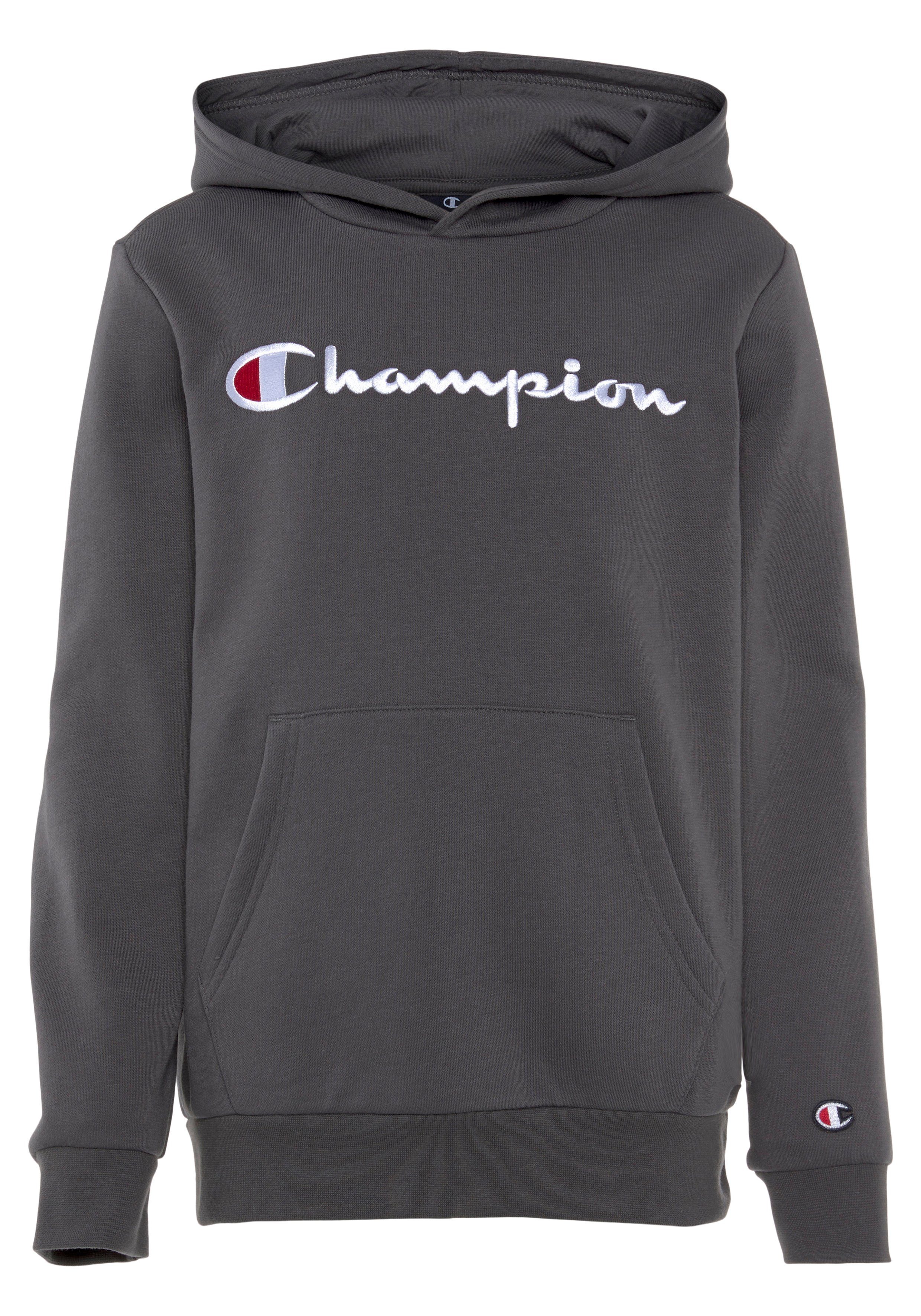 Champion Hoodie Classic Hooded Sweatshirt large Logo - voor kinderen