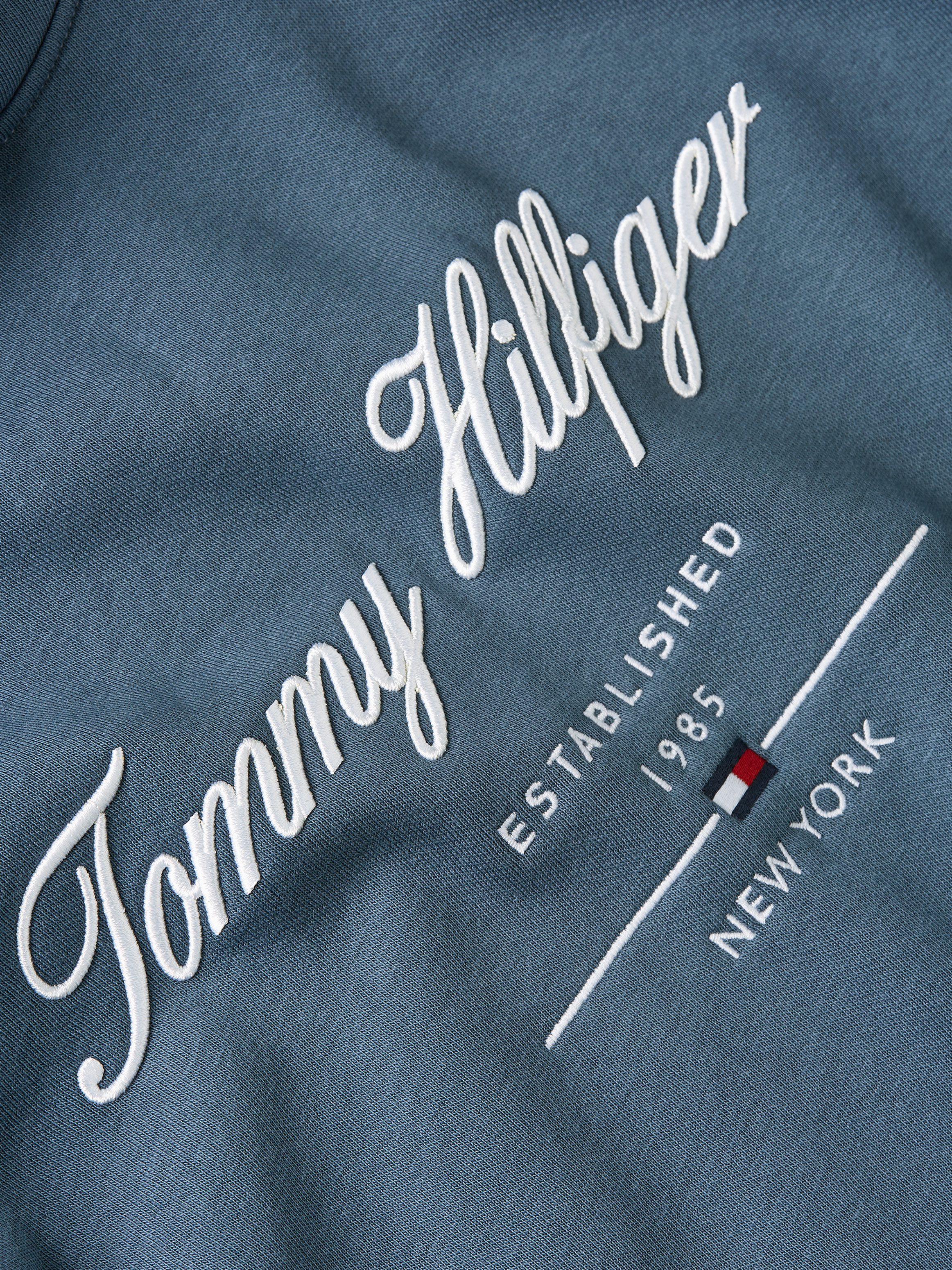 Tommy Hilfiger Hoodie SCRIPT LOGO HOODY met opgestikt logo