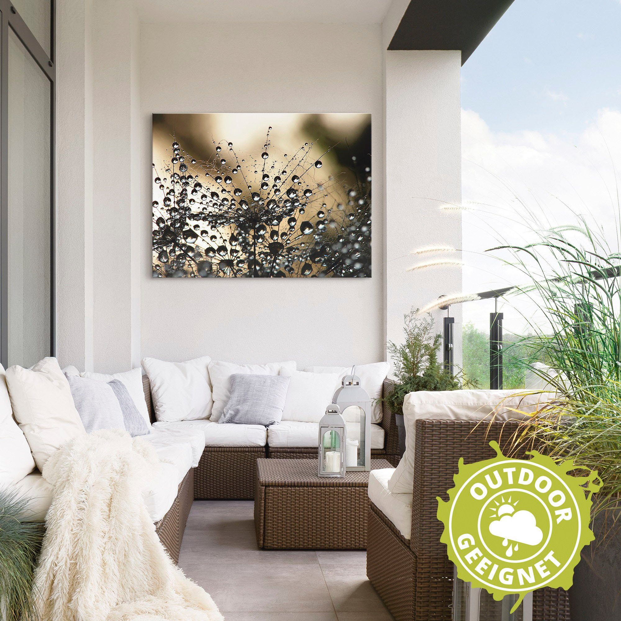 Artland Artprint Natte paardenbloem als artprint van aluminium, artprint voor buiten, artprint op linnen, poster, muursticker