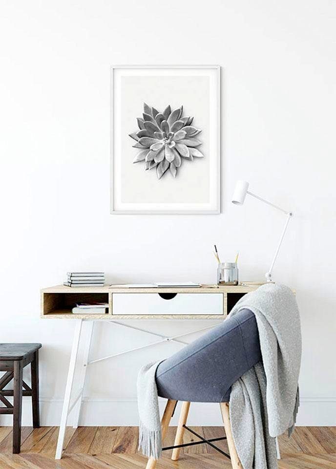 Komar Wanddecoratie Succulent agave Wanddecoratie - zonder lijst (1 stuk)
