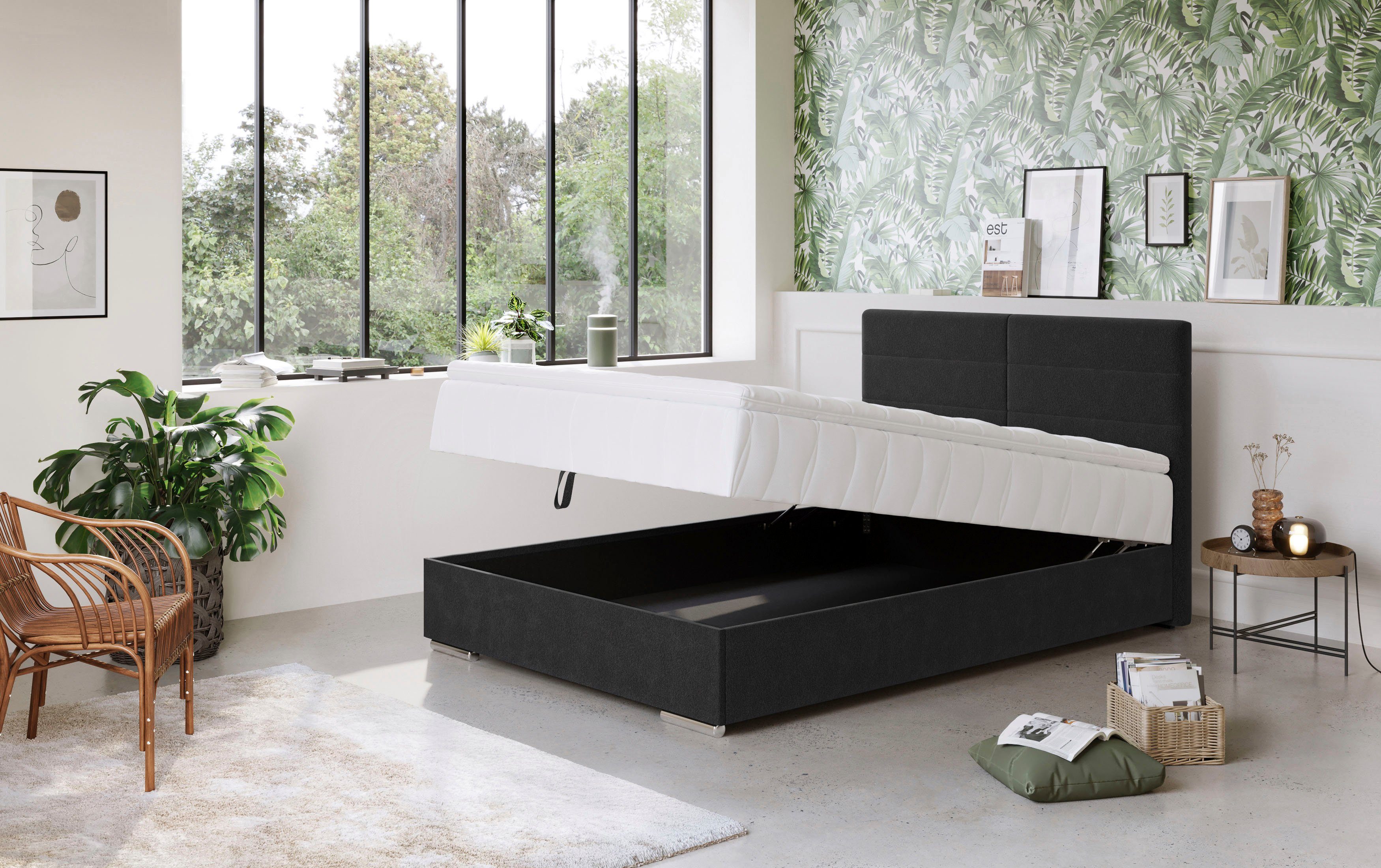COTTA Boxspring Tom met bedkist, topmatras en sierkussen