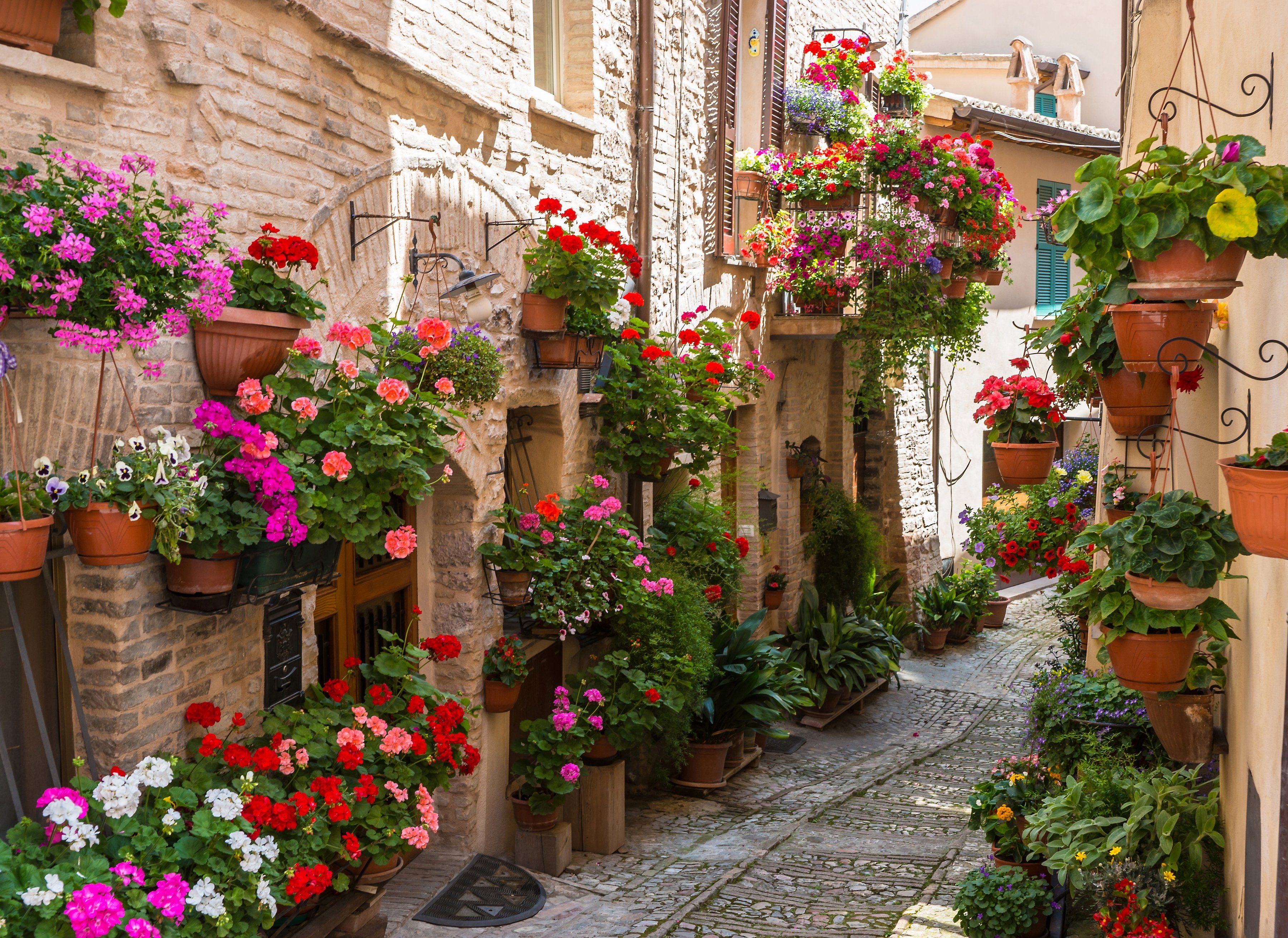 Papermoon Fotobehang Flower Alley in Spello fotobehang maat 2,5 m x 1,86 m multicolor