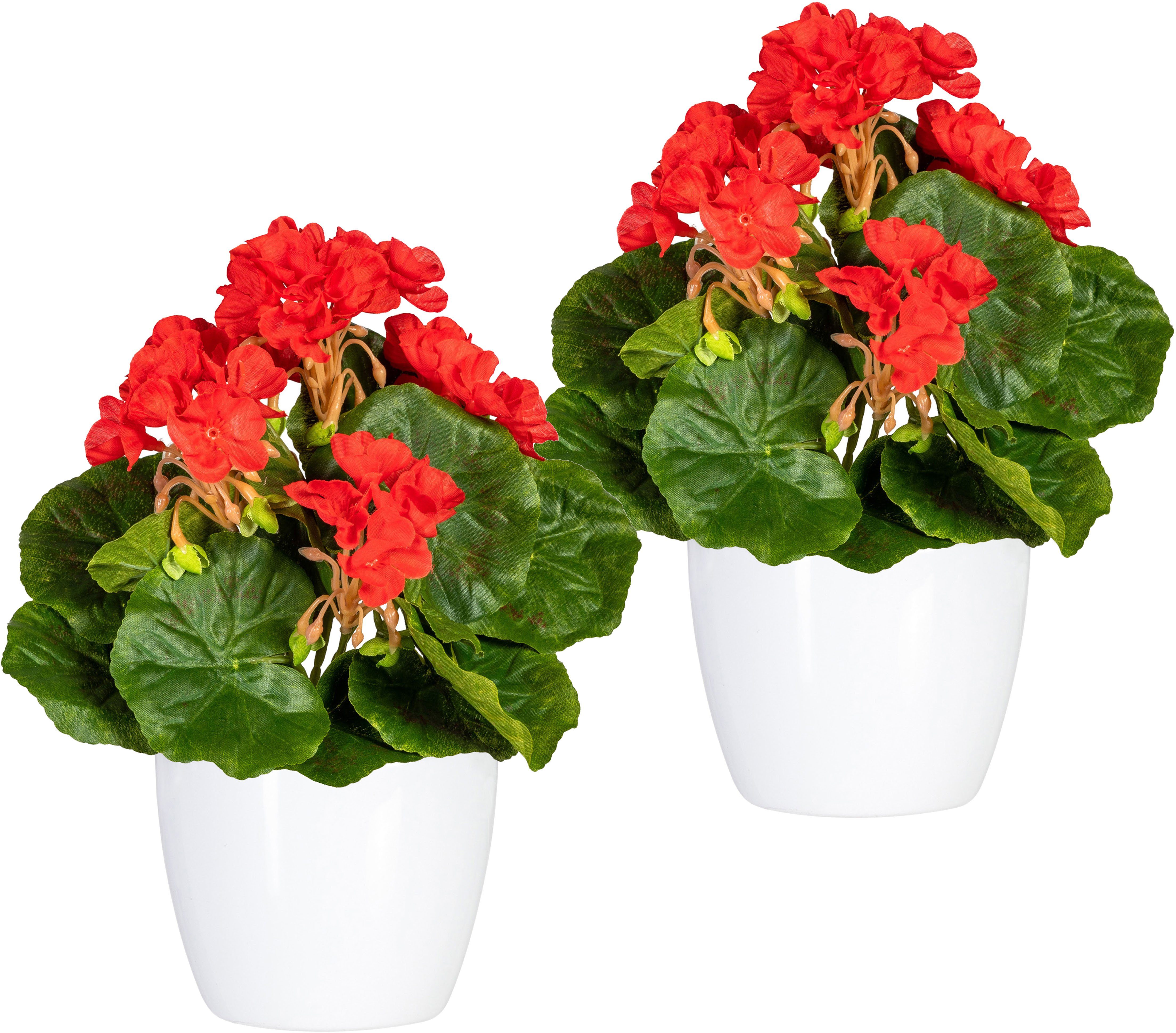 Home affaire Kunstplant Havel in een pot(2 stuks) kunstplanten rood