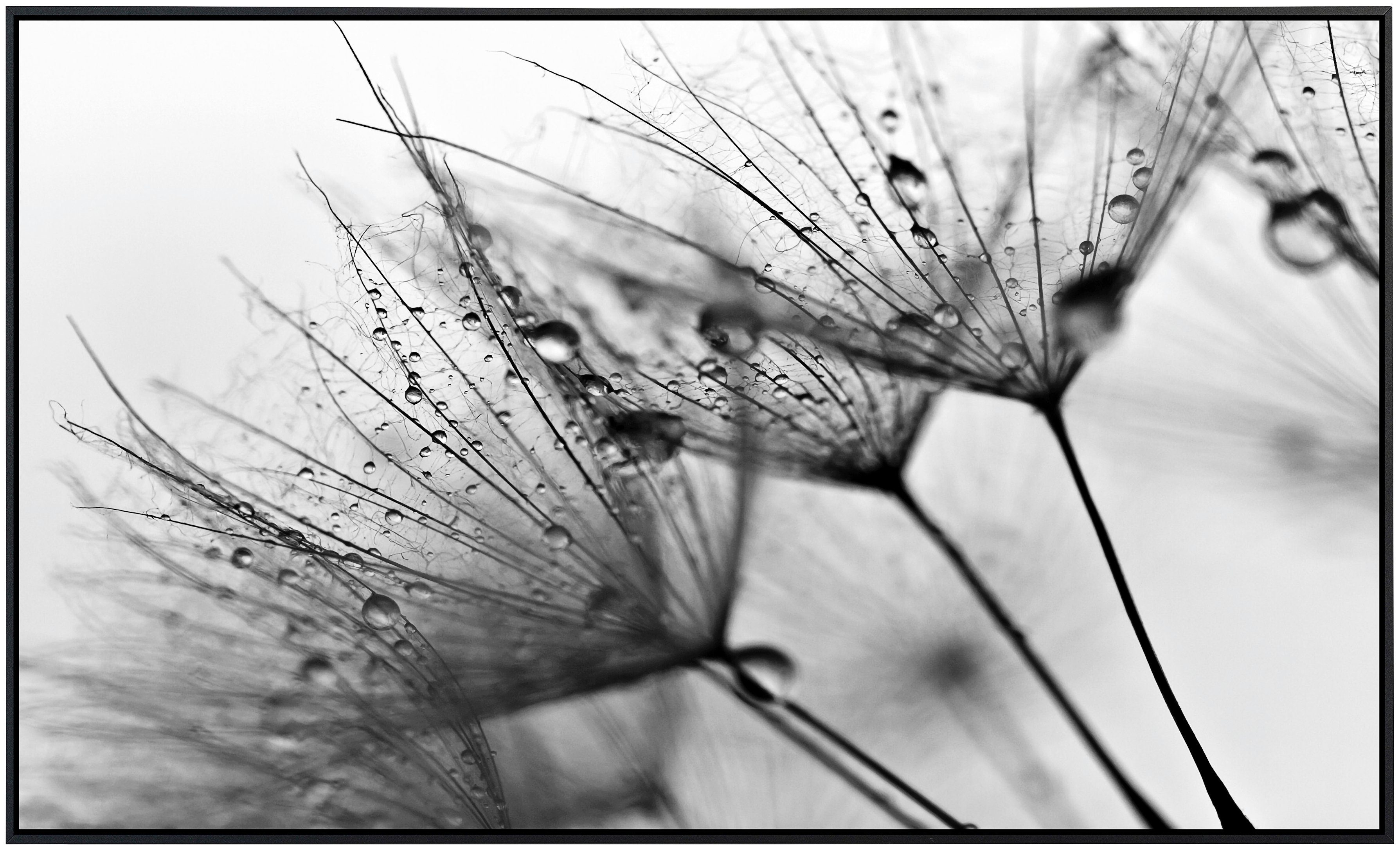 Papermoon Infraroodverwarming Bloemen zwart & wit zeer aangename stralingswarmte