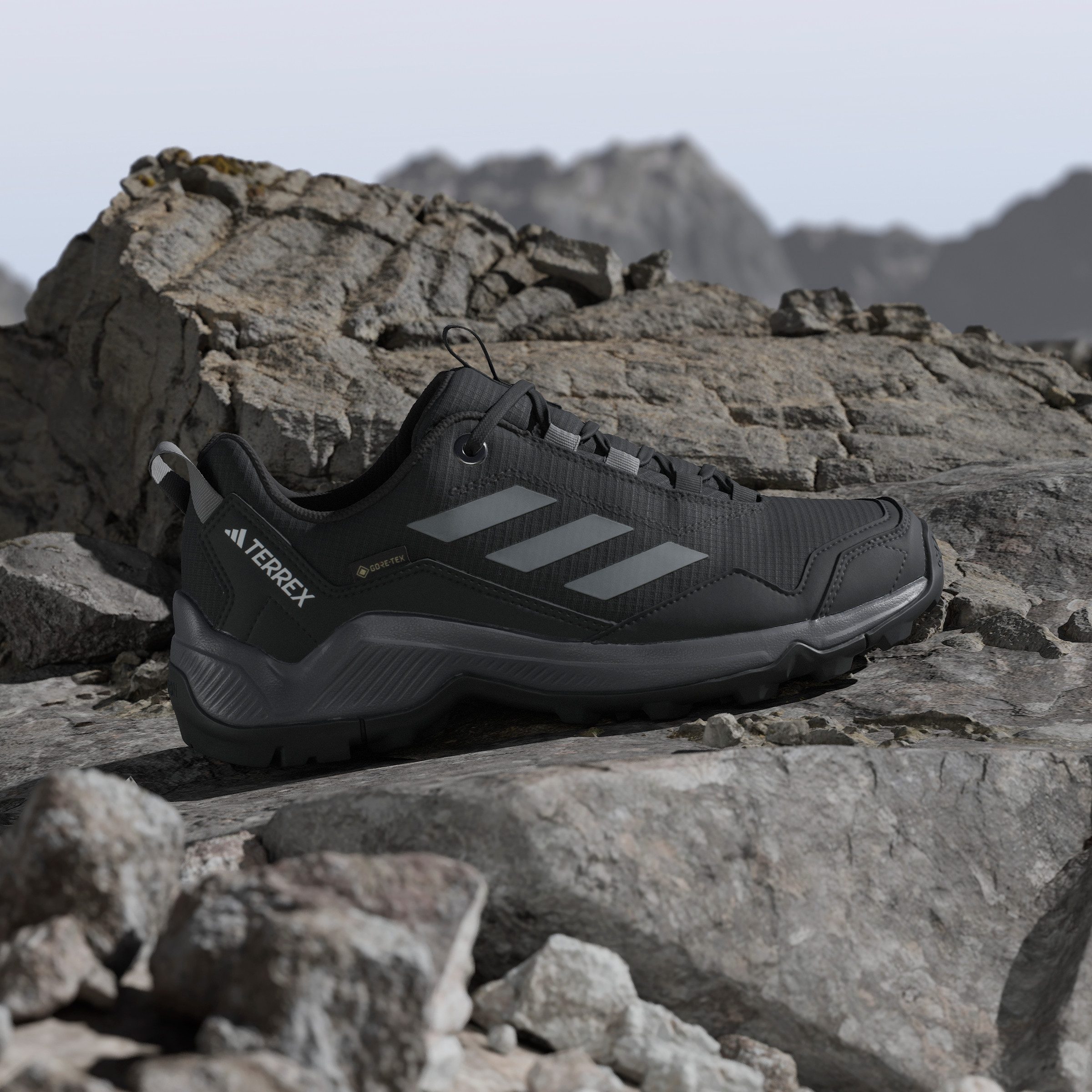adidas TERREX Wandelschoenen TERREX EASTRAIL GORE-TEX
