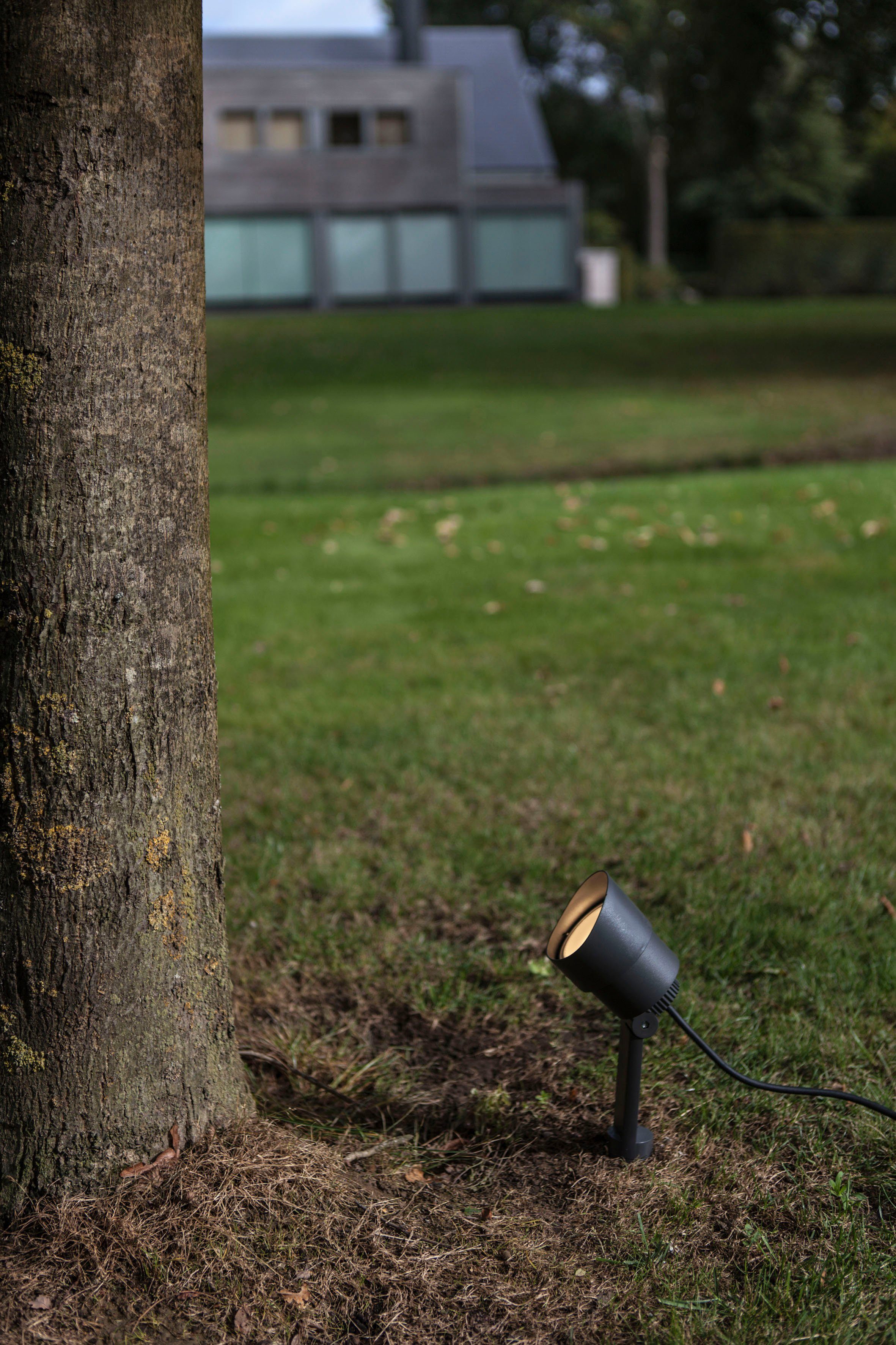 LUTEC Ledwandlamp voor buiten Explorer (1 stuk)