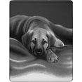 biederlack deken barry met hondenmotief grijs