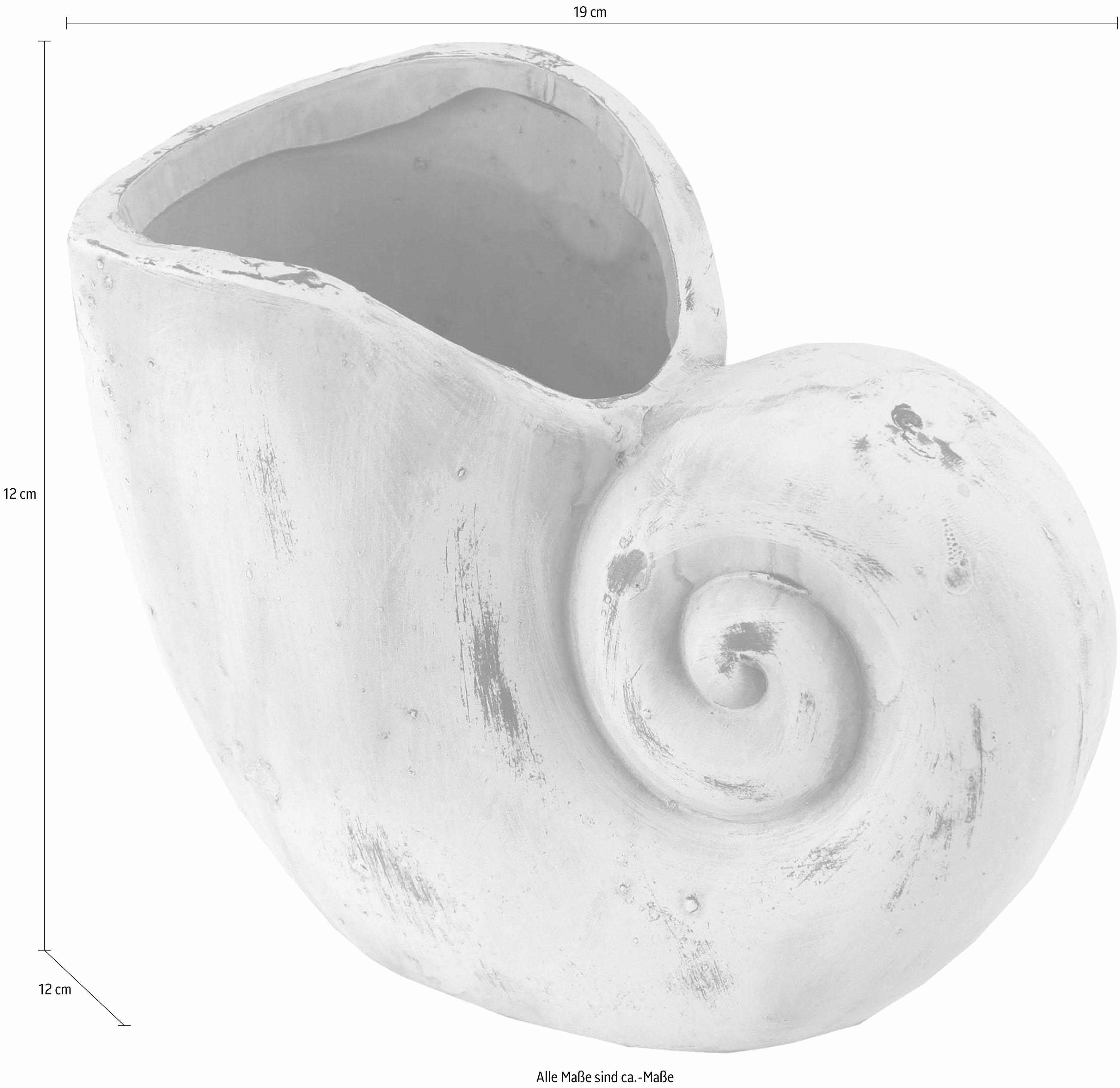 I.GE.A. Sierpot Plantenbak schelp (set, 2 stuks)