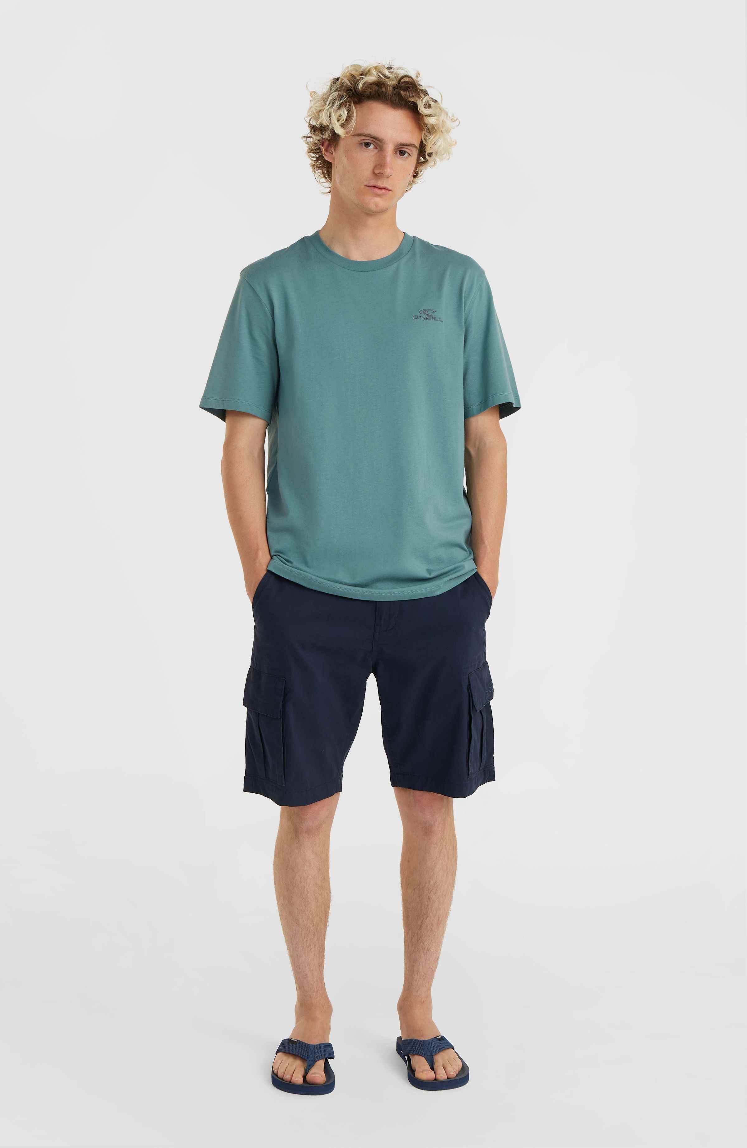 O'Neill T-shirt O'NEILL SMALL LOGO T-SHIRT