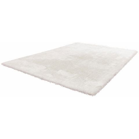 Otto - Kayoom Hoogpolig vloerkleed, Kayoom Royal, Kayoom, rechthoekig, hoogte 40 mm, handgetuft Otto - Kayoom Hoogpolig vloerkleed, Kayoom Royal, Kayoom, rechthoekig, hoogte 40 mm, handgetuft