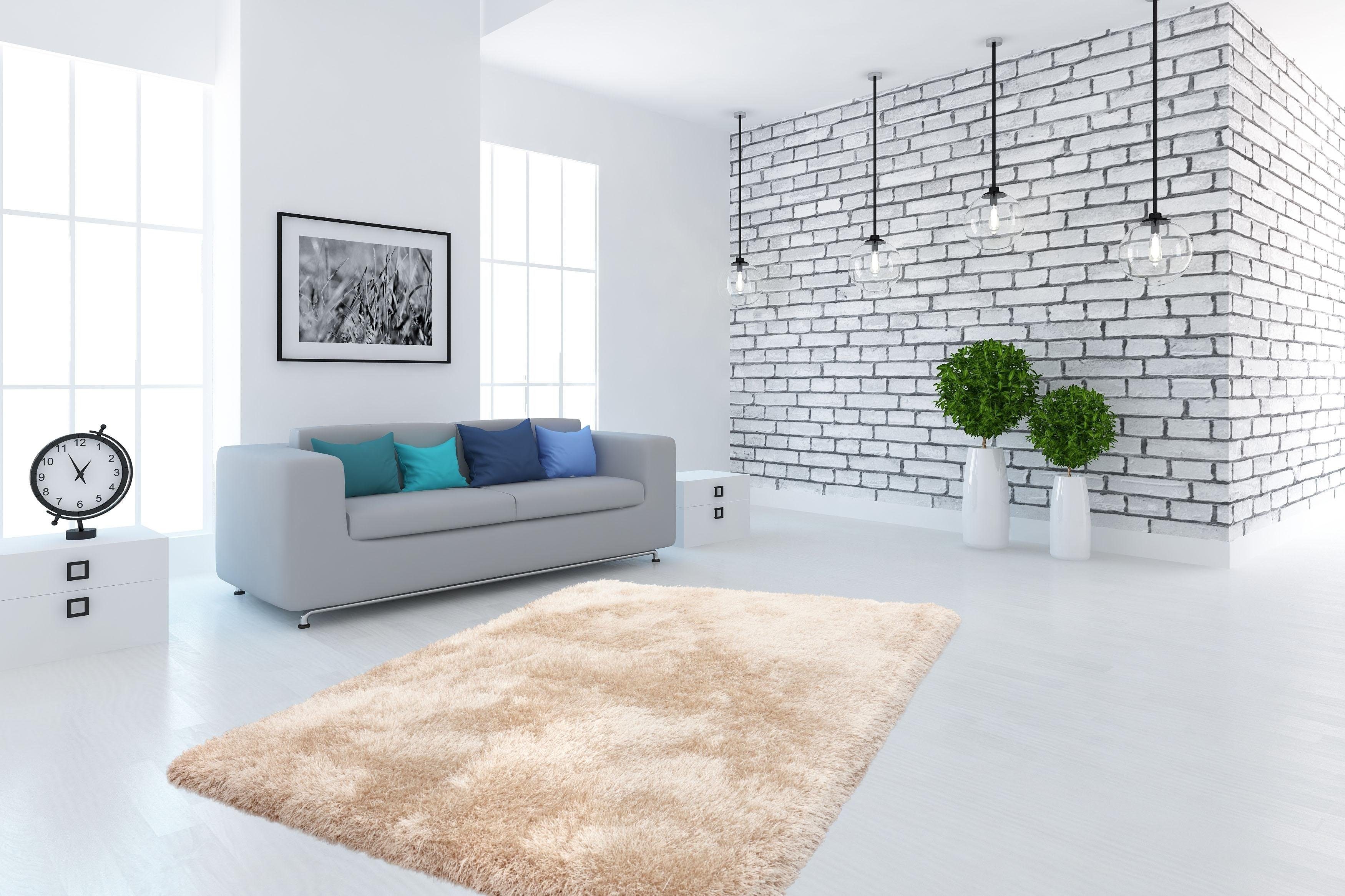 Kayoom Hoogpolig vloerkleed Cosy Bijzonder zachte microvezel, dichte hoogwaardige lange pool, woonkamer