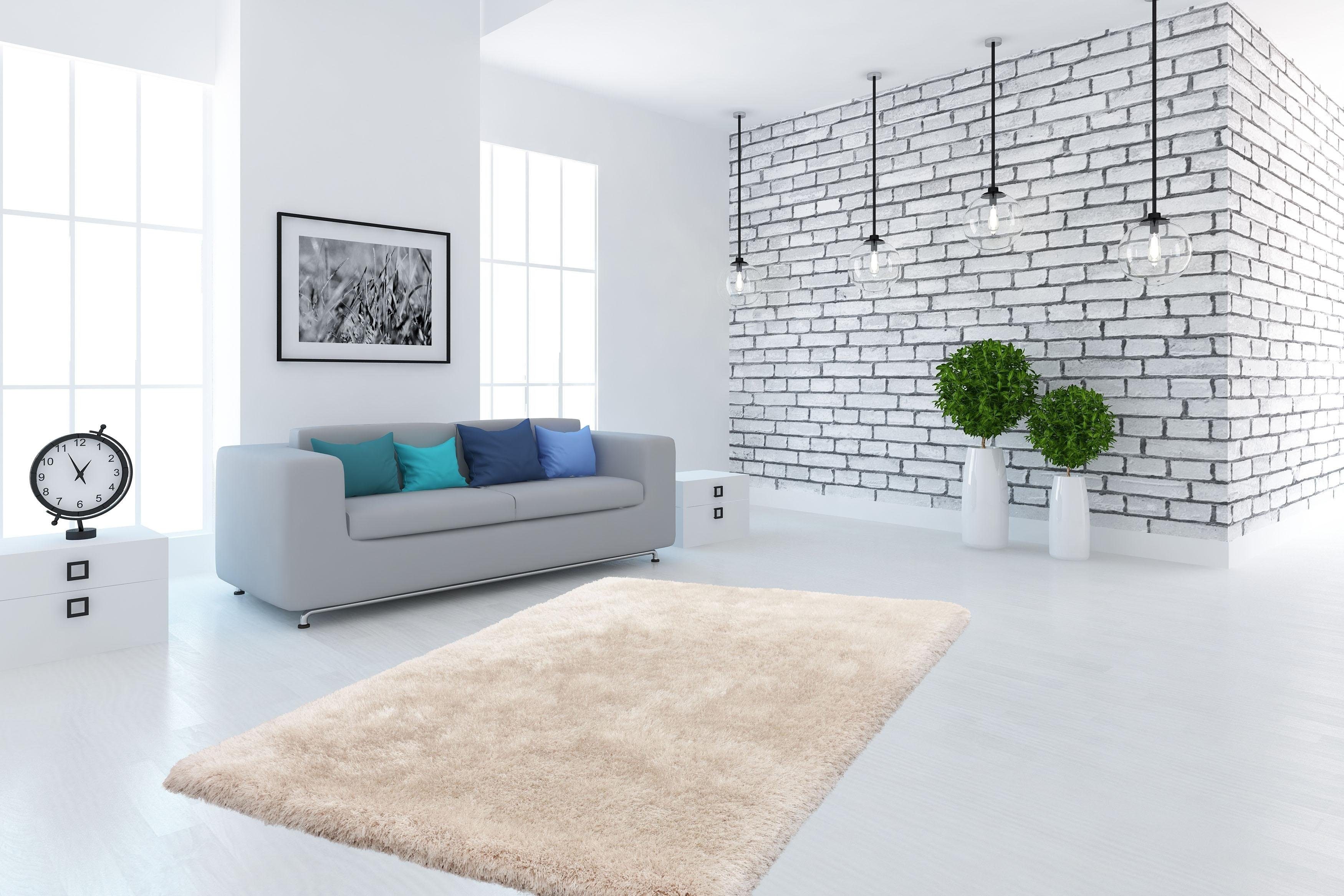 Kayoom Hoogpolig vloerkleed Cosy Bijzonder zachte microvezel, dichte hoogwaardige lange pool, woonkamer