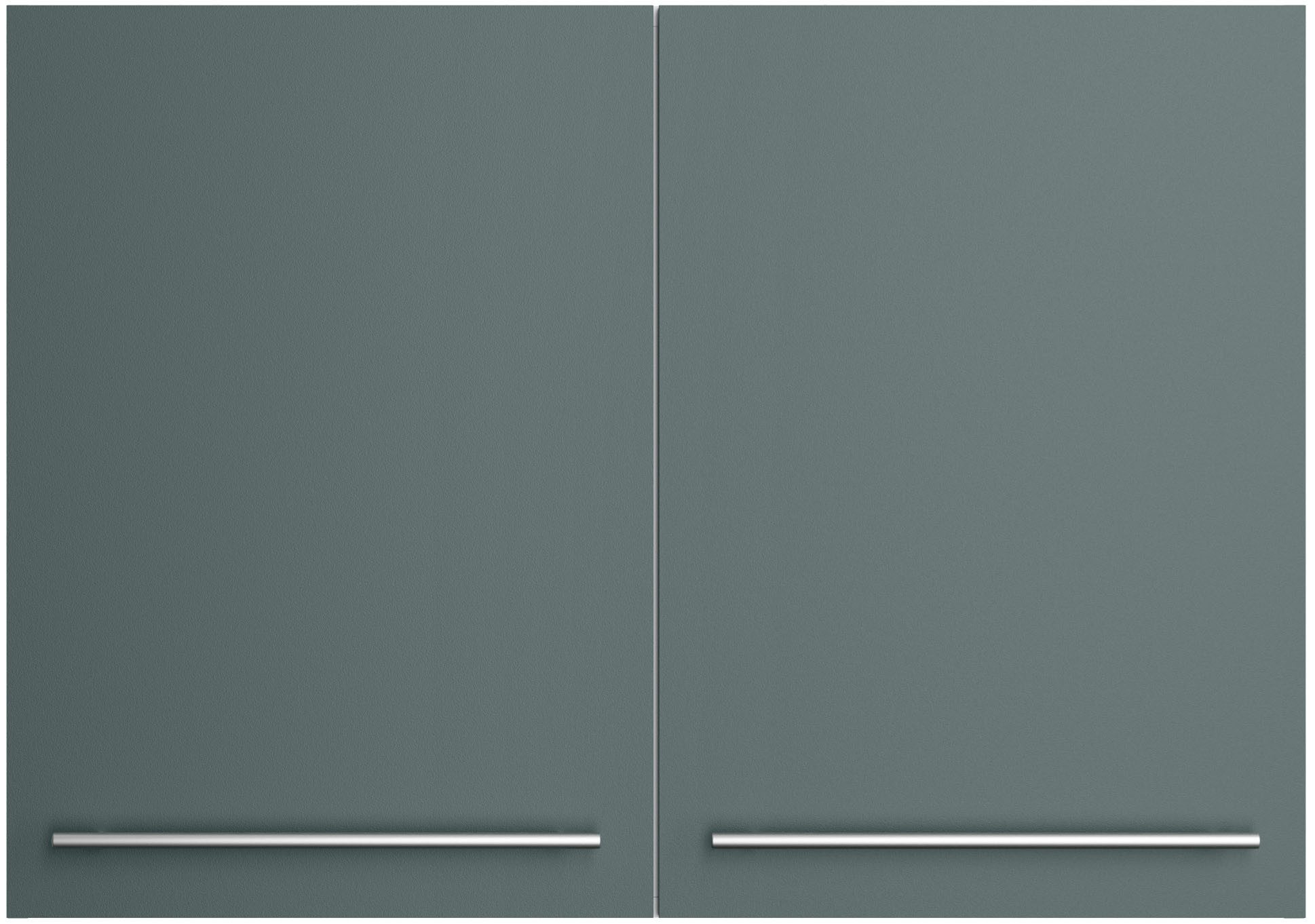 OPTIFIT Hangkast Bern2 Breedte 100 cm, 2 deuren, 2 planken