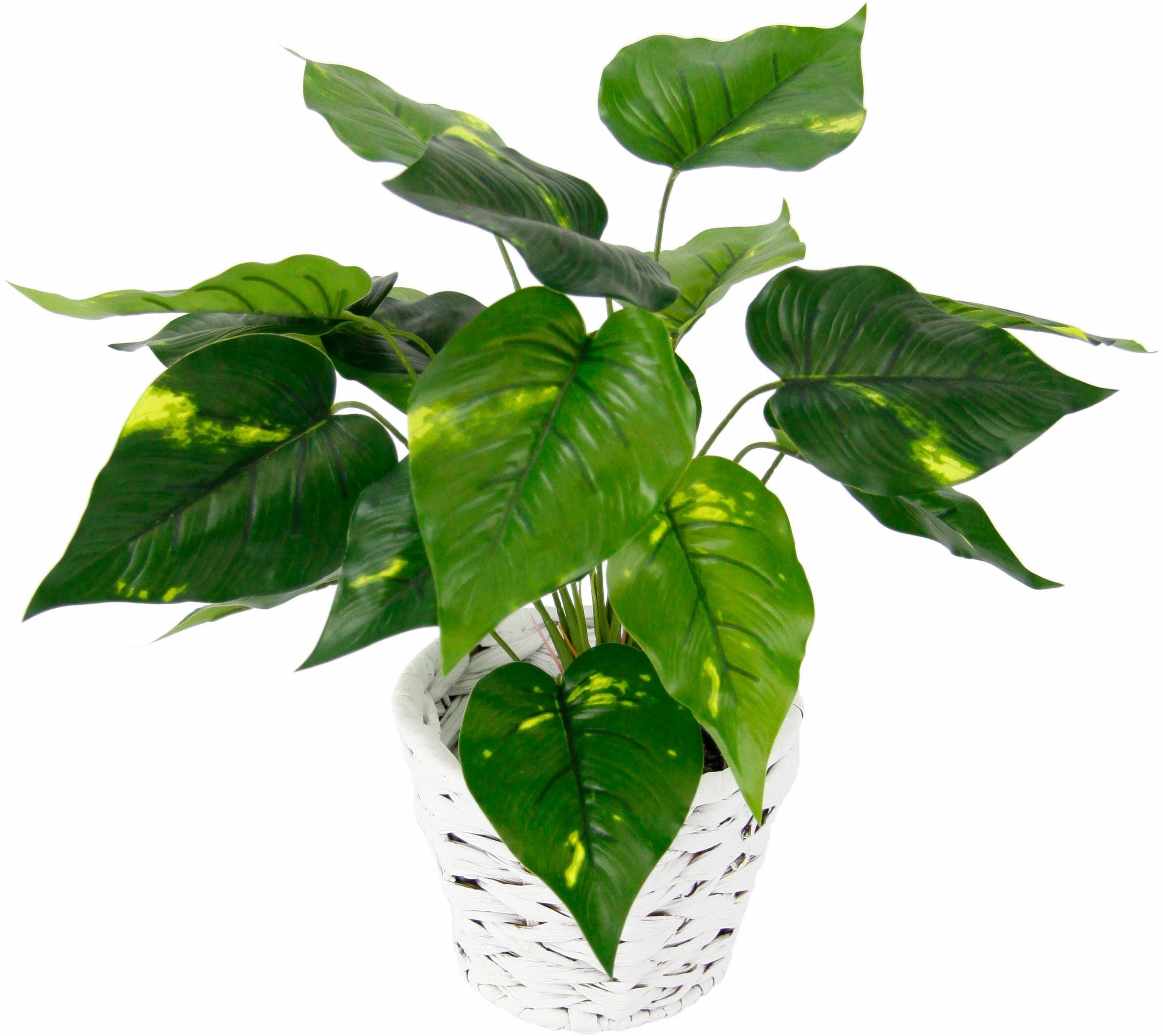 I.GE.A. Kunstplant Pothos plant in waterhyacint pot (1 stuk)