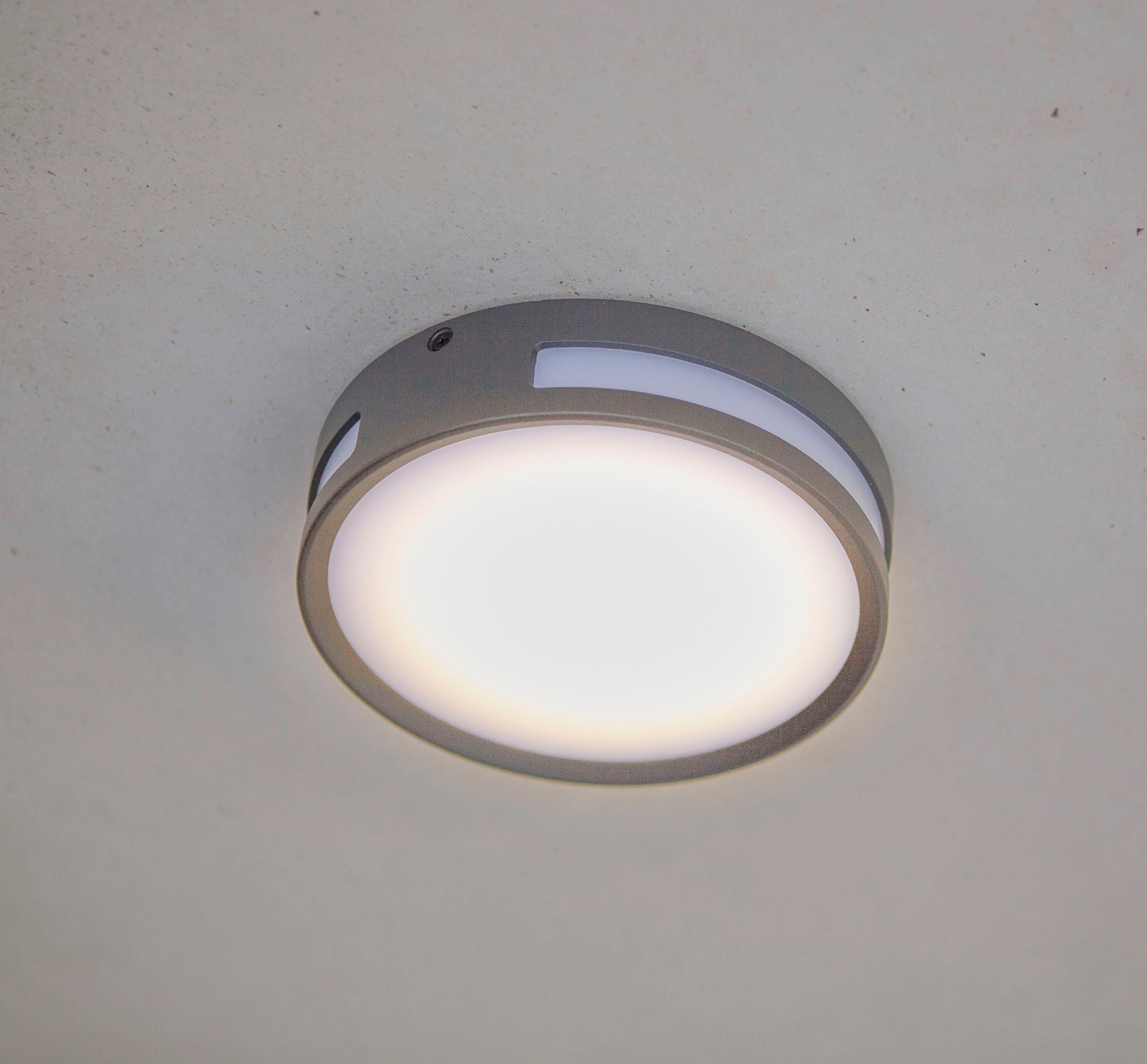 LUTEC Ledwandlamp voor buiten ROLA (1 stuk)
