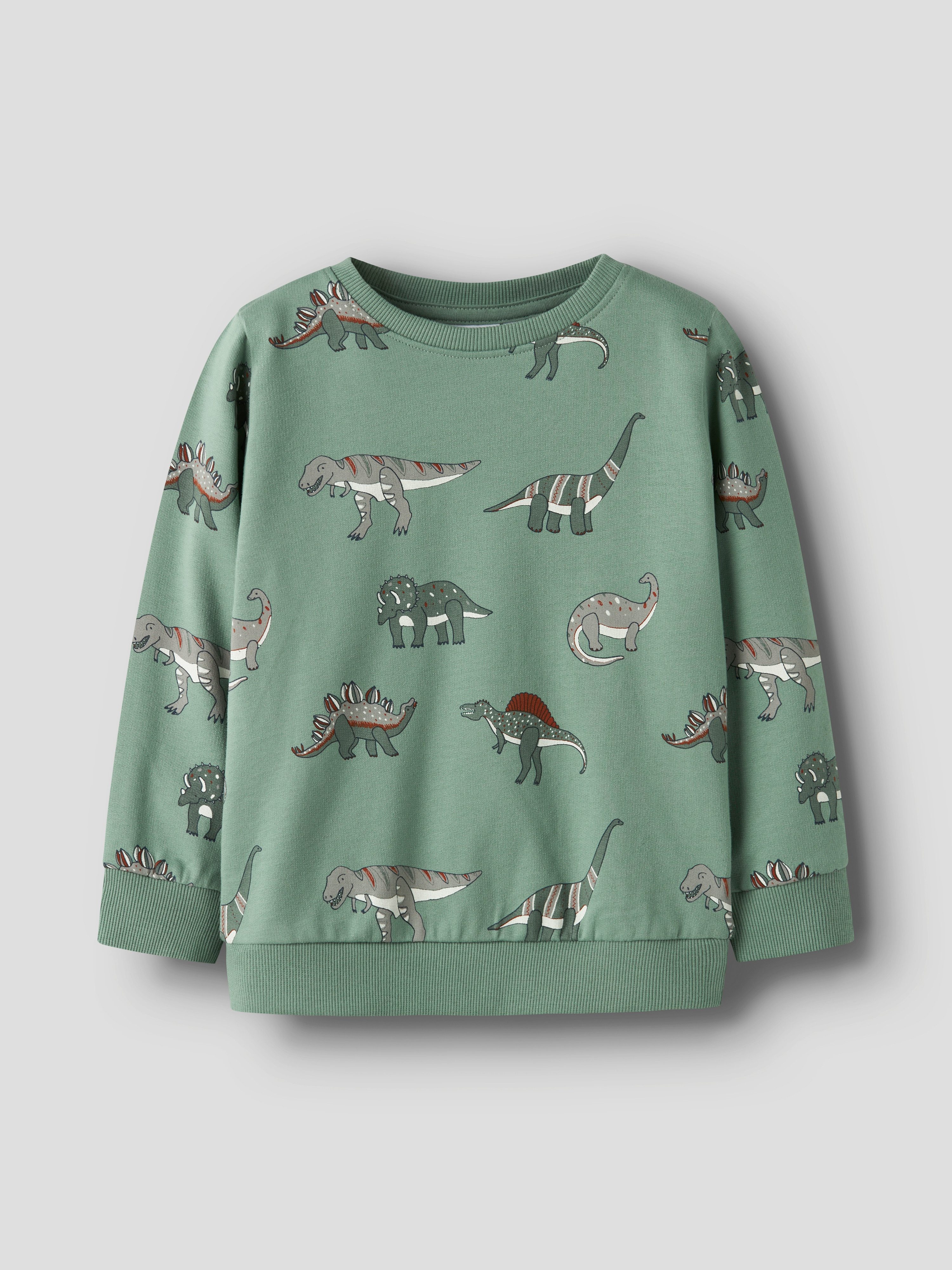 Name It Sweatshirt NMMNENEAN LS SWE BRU PB