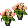 delavita kunstplant eleonore in een pot, set van 2 roze