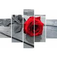 home affaire artprint rumin - rose on the floor 2x 20-35, 2x 20-50, 1x 20-70 cm rood