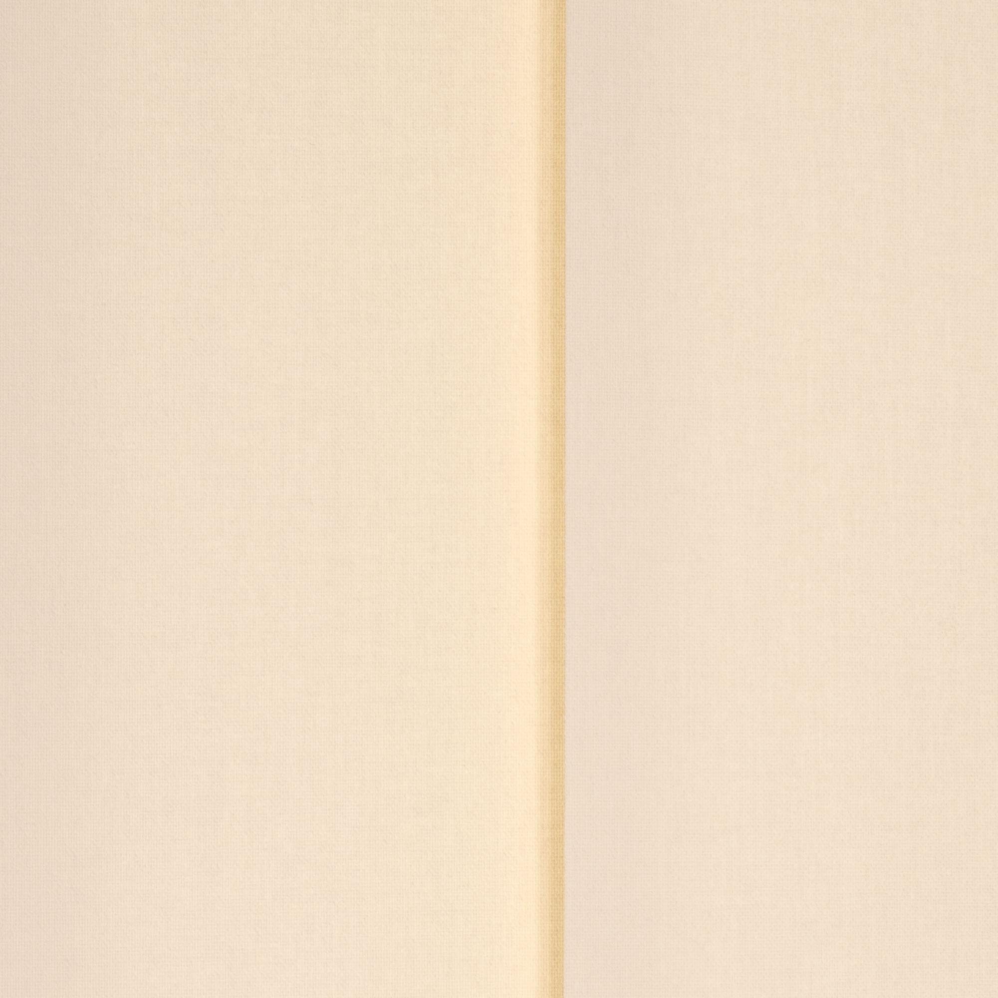 Liedeco Lamellengordijn Verticaal gordijn 127 mm (1 stuk)